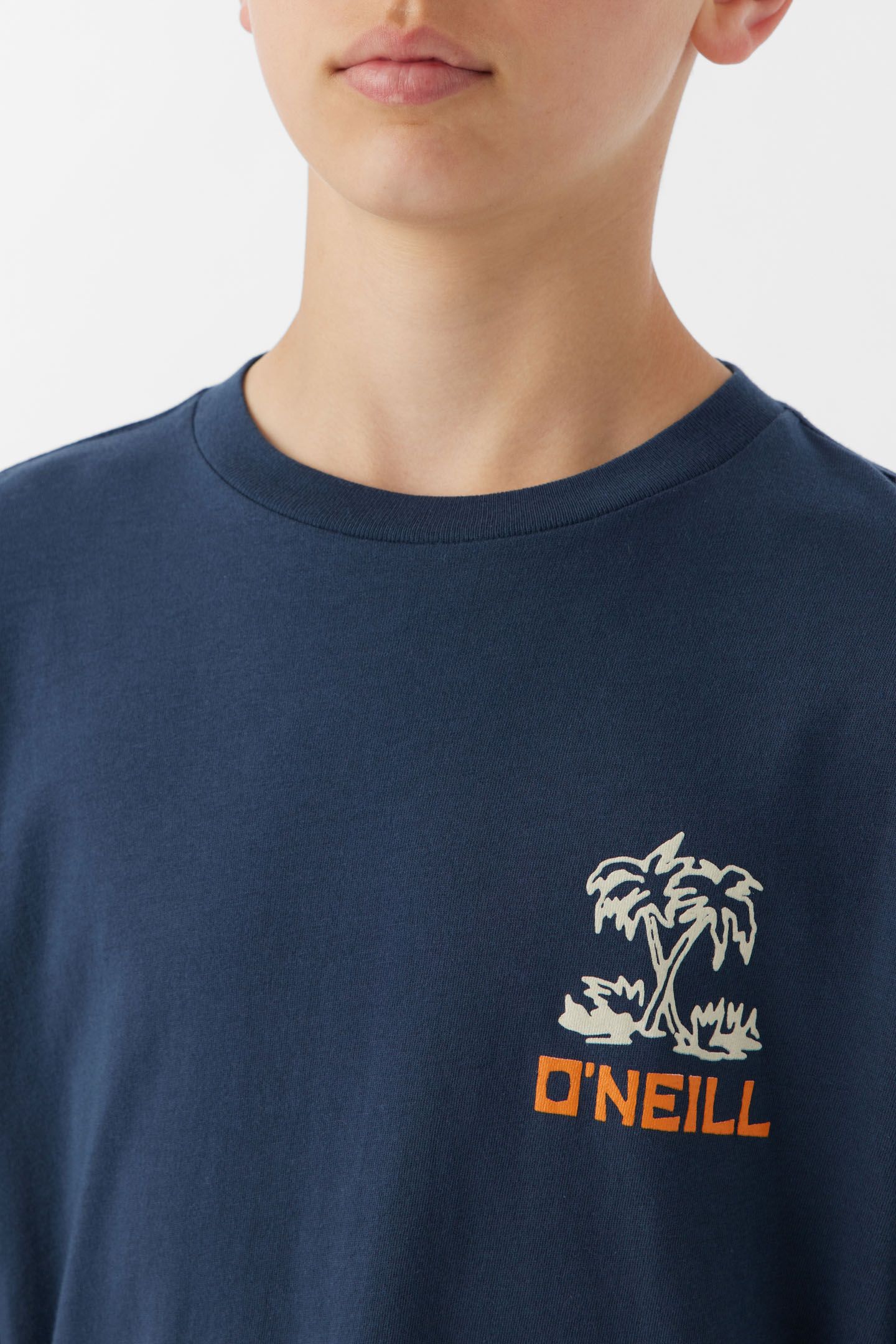 BOY'S MOSAIC LONG SLEEVE TEE sold by O'Neill product image thumbnail 3