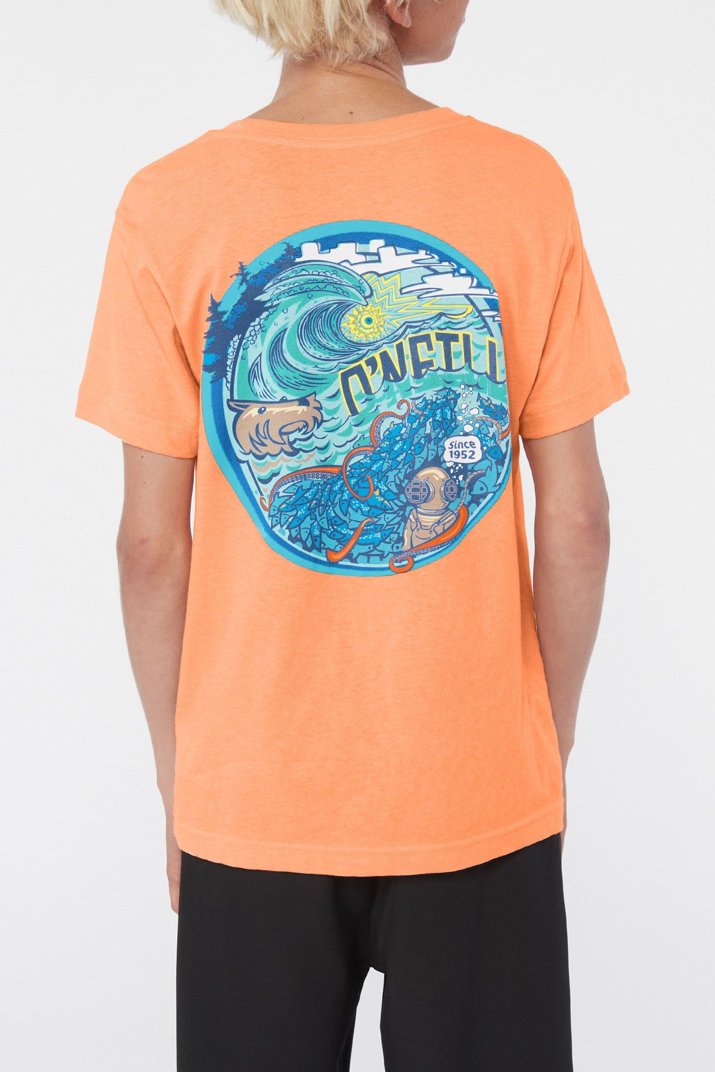 BOY'S DEEP DIVER TEE sold by O'Neill product image thumbnail 5