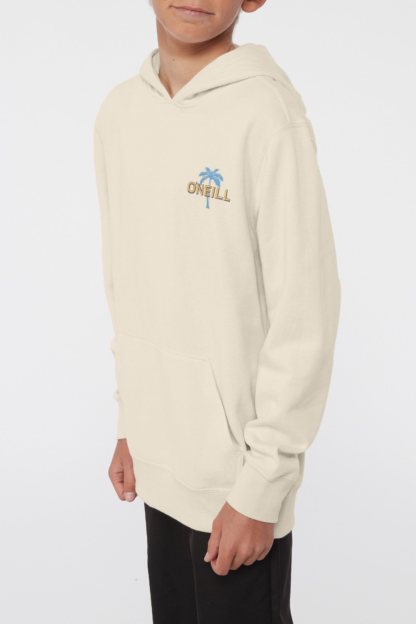 BOY'S FIFTY TWO PRINT FILL PULLOVER FLEECE sold by O'Neill product image thumbnail 4