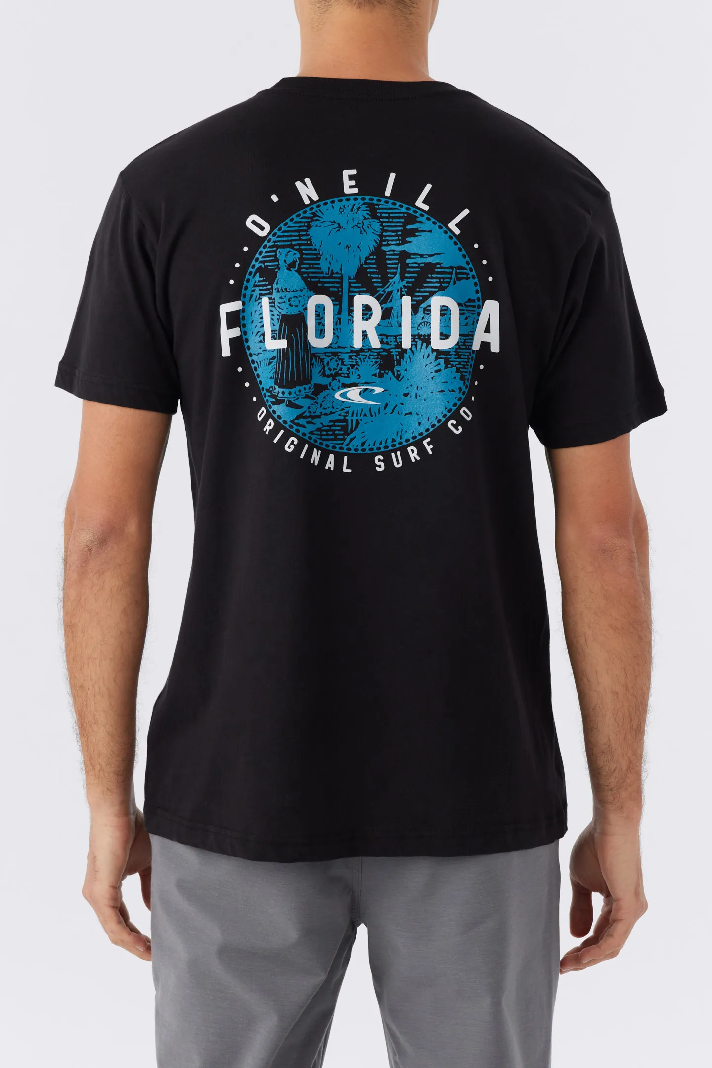 STATE SEAL TEE sold by O'Neill product image thumbnail 5