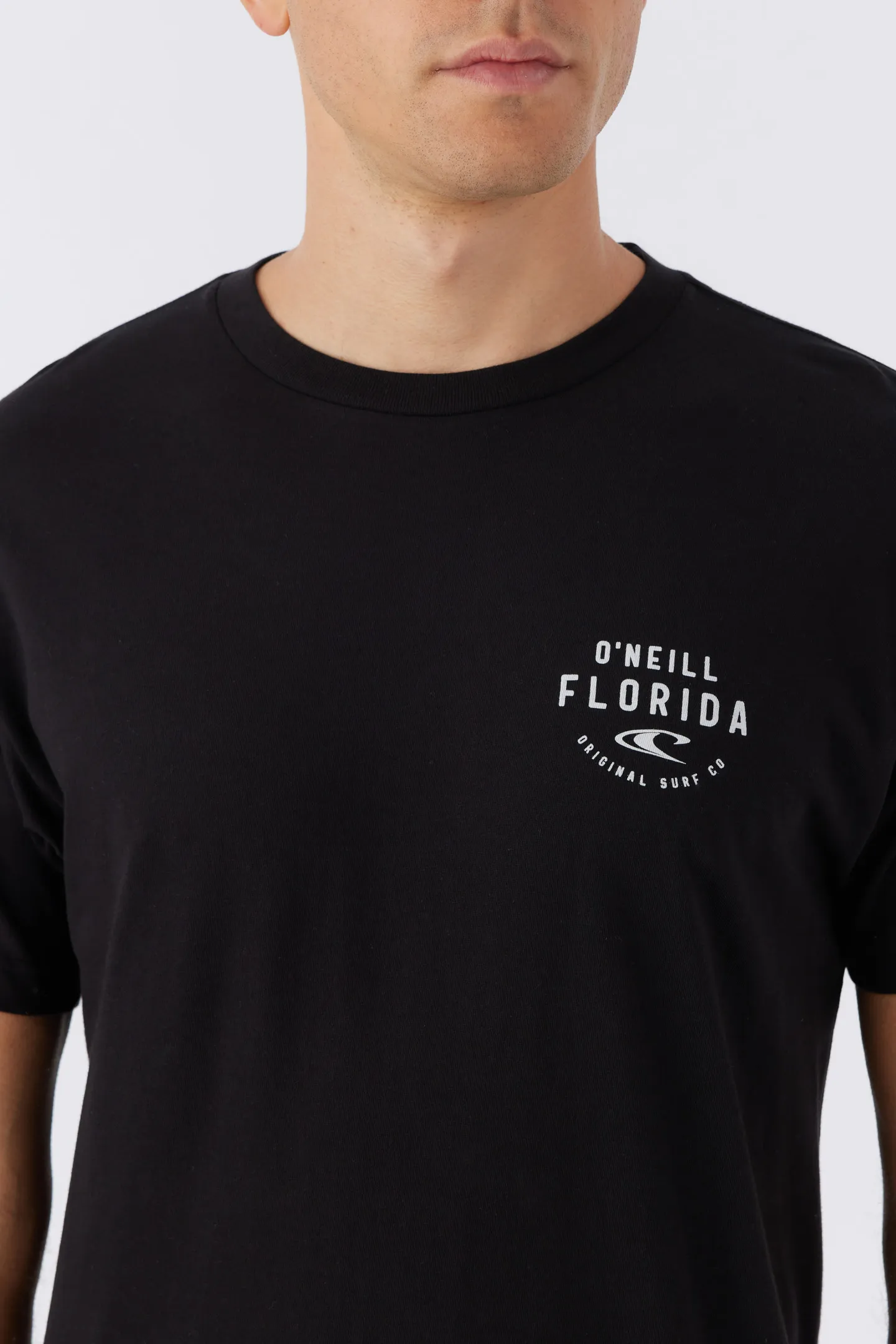 STATE SEAL TEE sold by O'Neill product image thumbnail 3