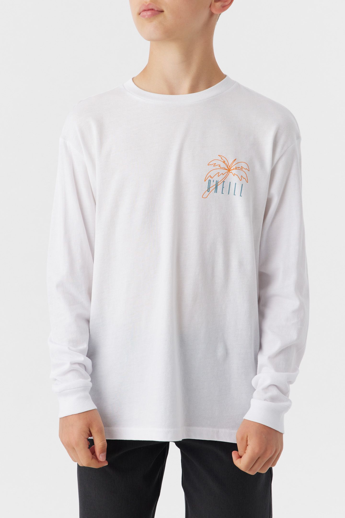 BOY'S LET LOOSE LONG SLEEVE TEE sold by O'Neill product image thumbnail 2