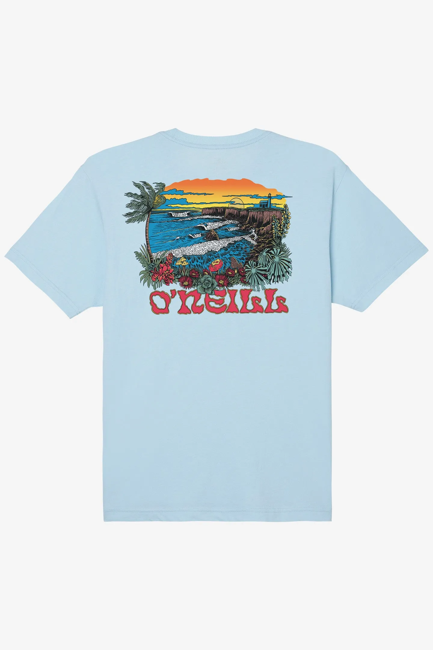 STEAMER VIEW TEE sold by O'Neill