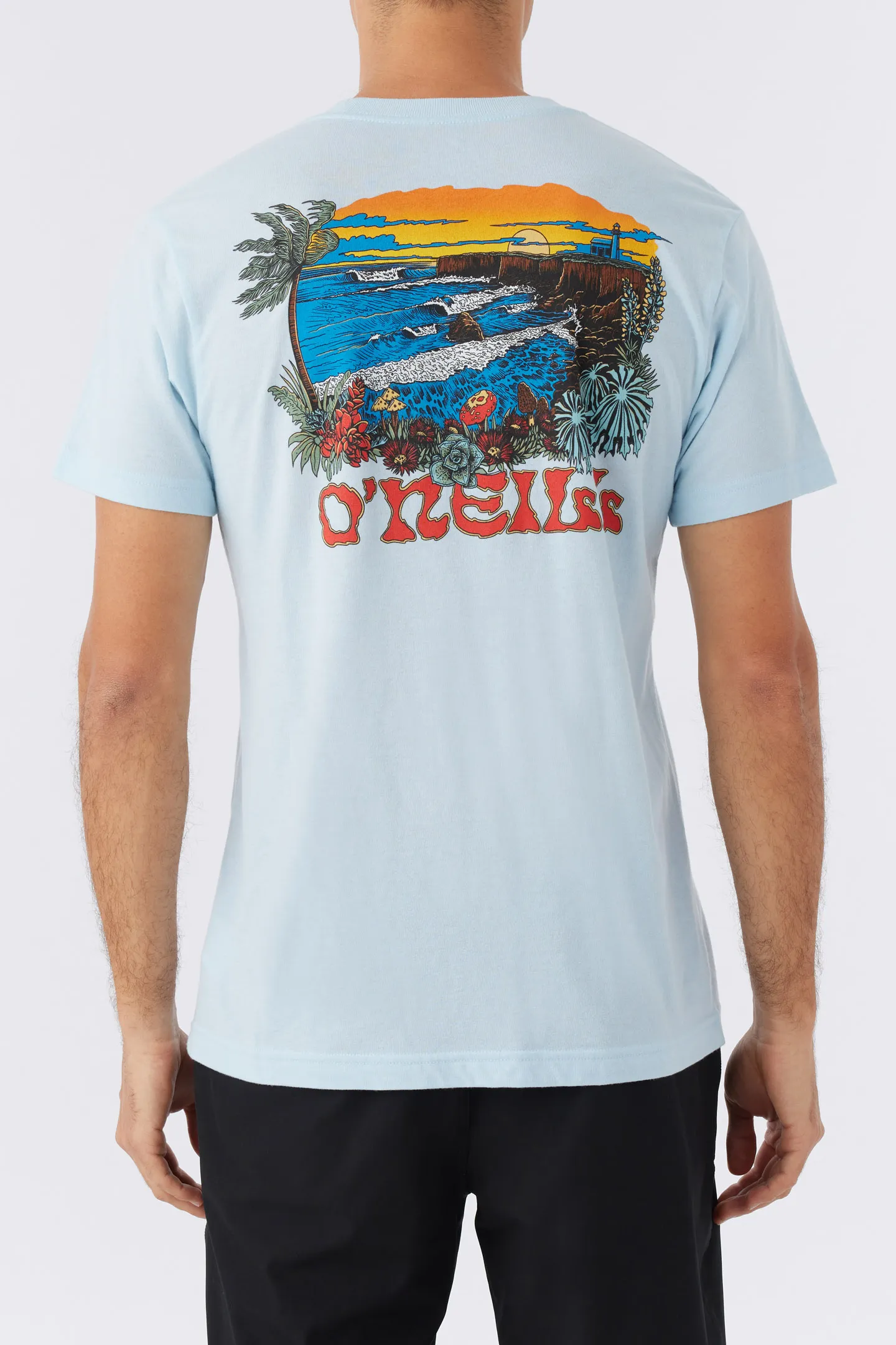 STEAMER VIEW TEE sold by O'Neill product image thumbnail 5