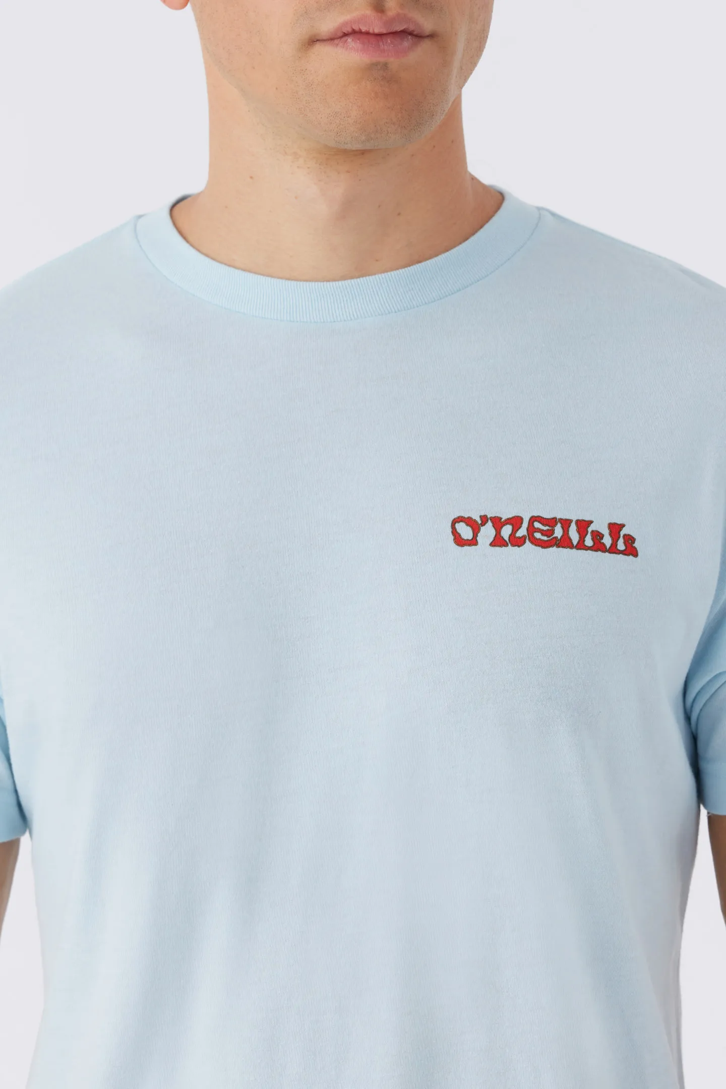 STEAMER VIEW TEE sold by O'Neill product image thumbnail 3