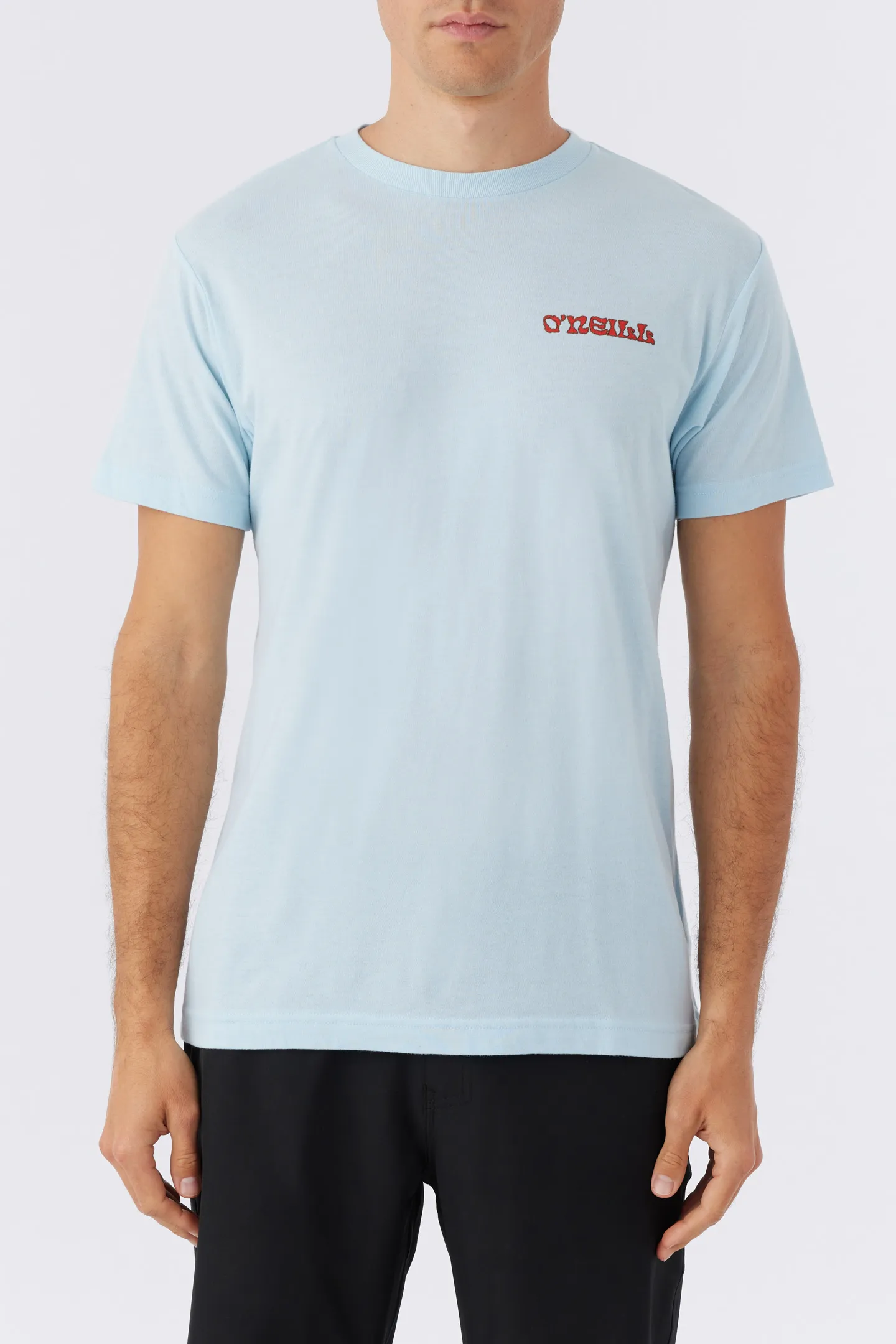 STEAMER VIEW TEE sold by O'Neill product image thumbnail 2