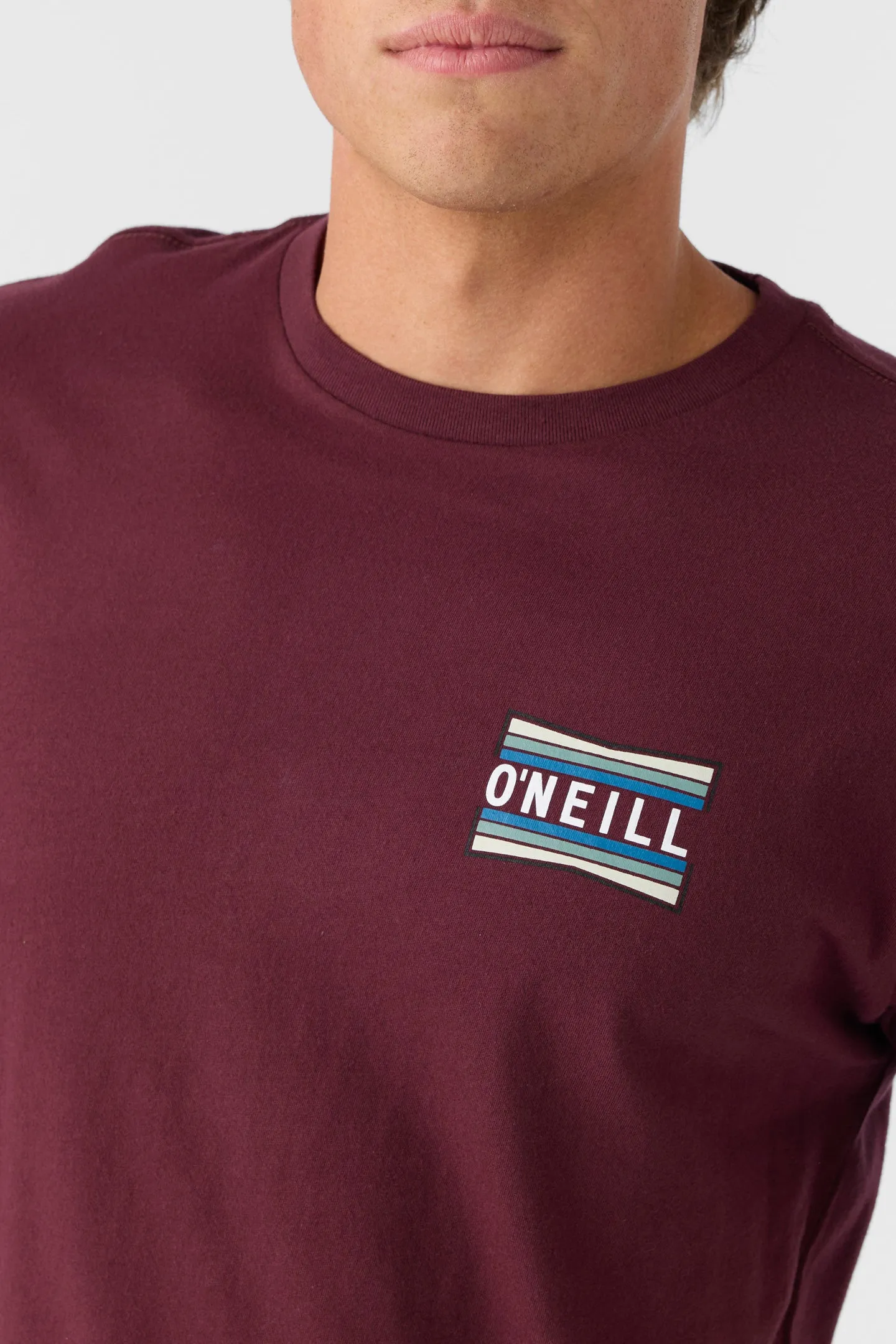 WORKING STIFF STANDARD FIT TEE sold by O'Neill product image thumbnail 4