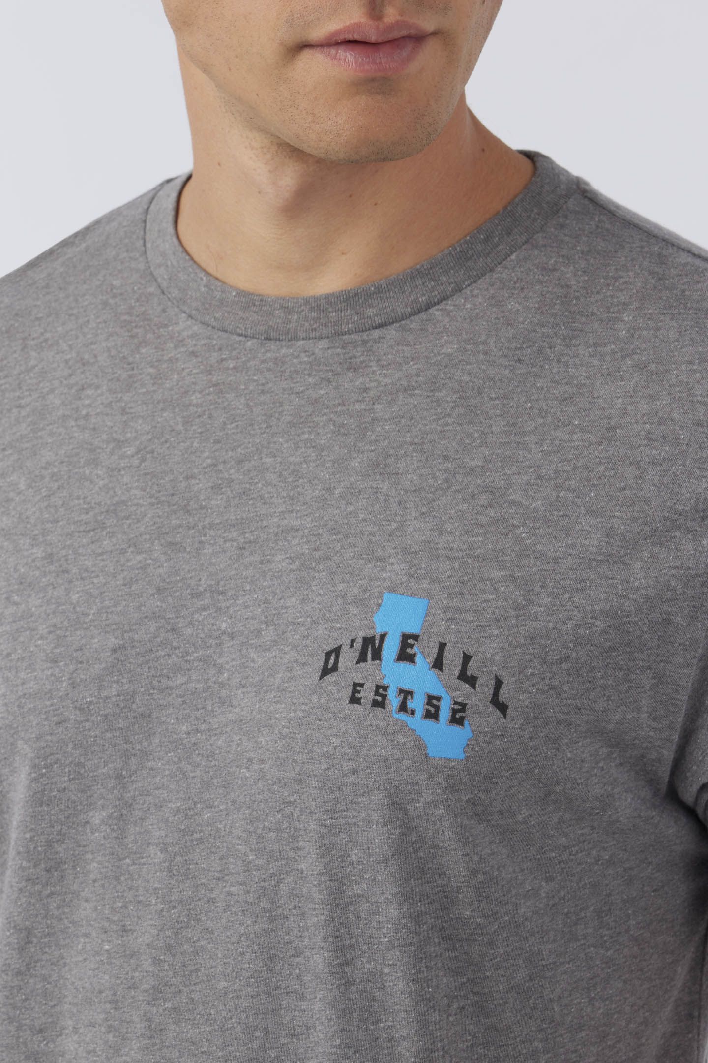 CALI BEACH BREAK TEE sold by O'Neill product image thumbnail 4