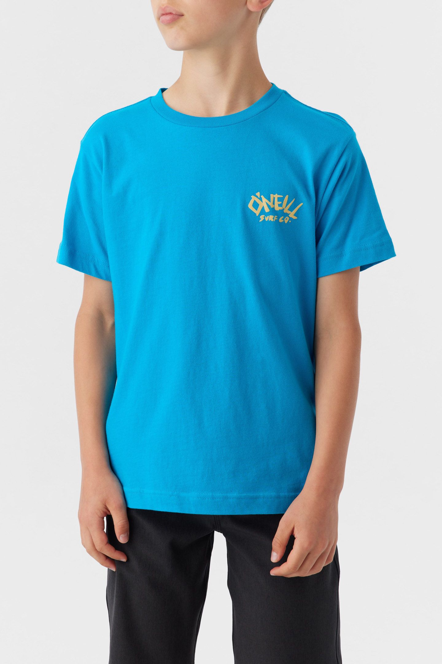 BOY'S BONES JONES TEE sold by O'Neill product image thumbnail 2