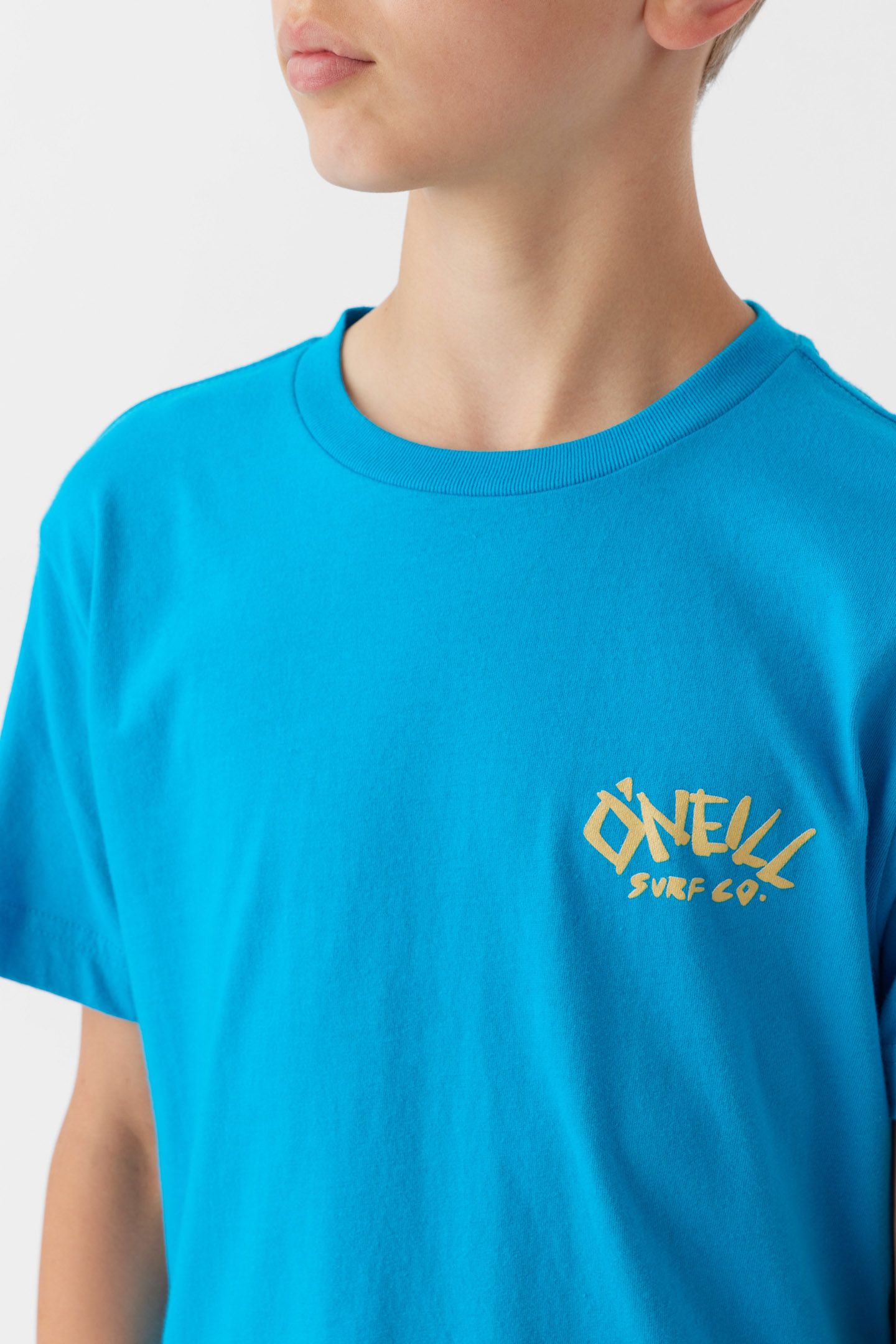 BOY'S BONES JONES TEE sold by O'Neill product image thumbnail 4