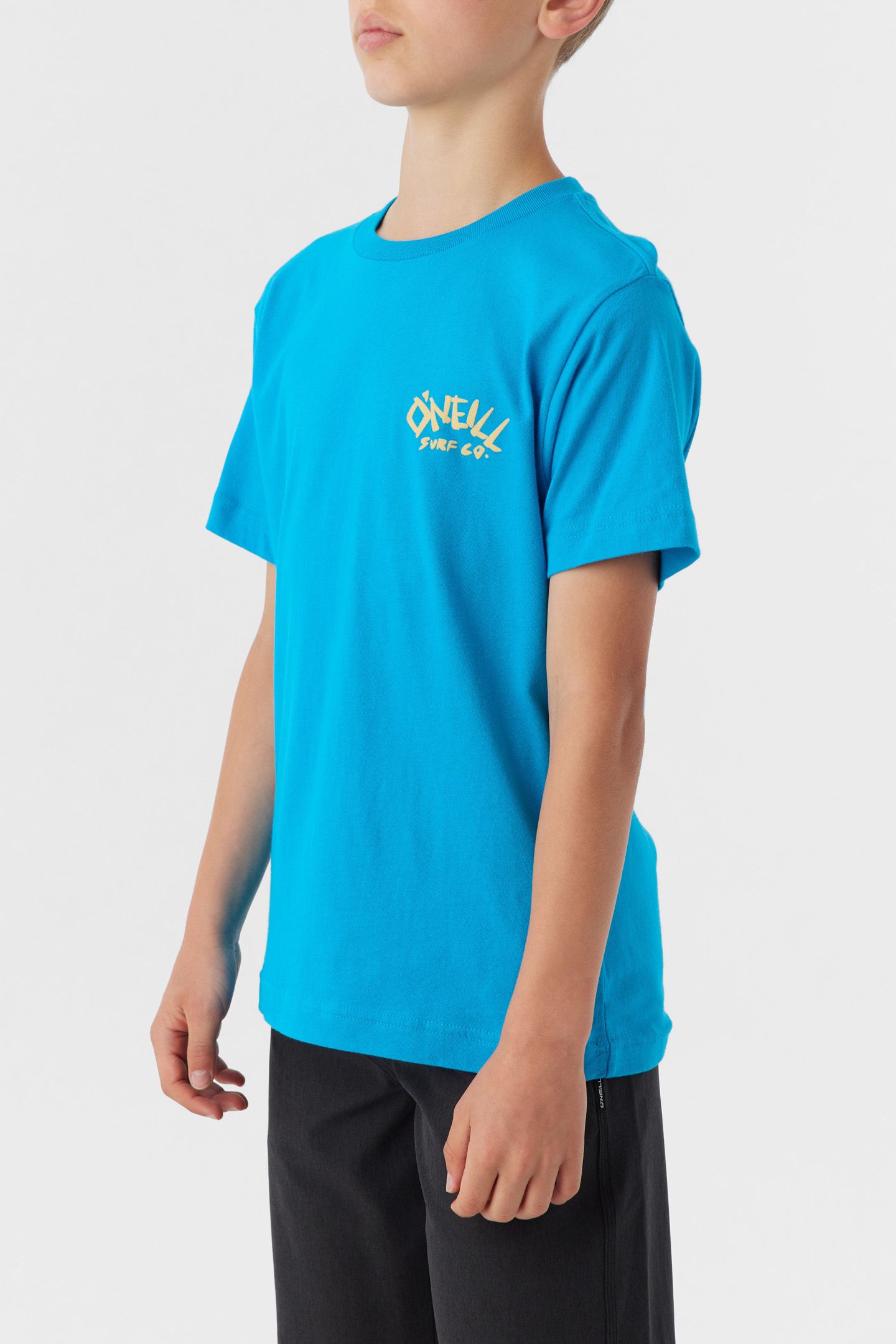 BOY'S BONES JONES TEE sold by O'Neill product image thumbnail 3
