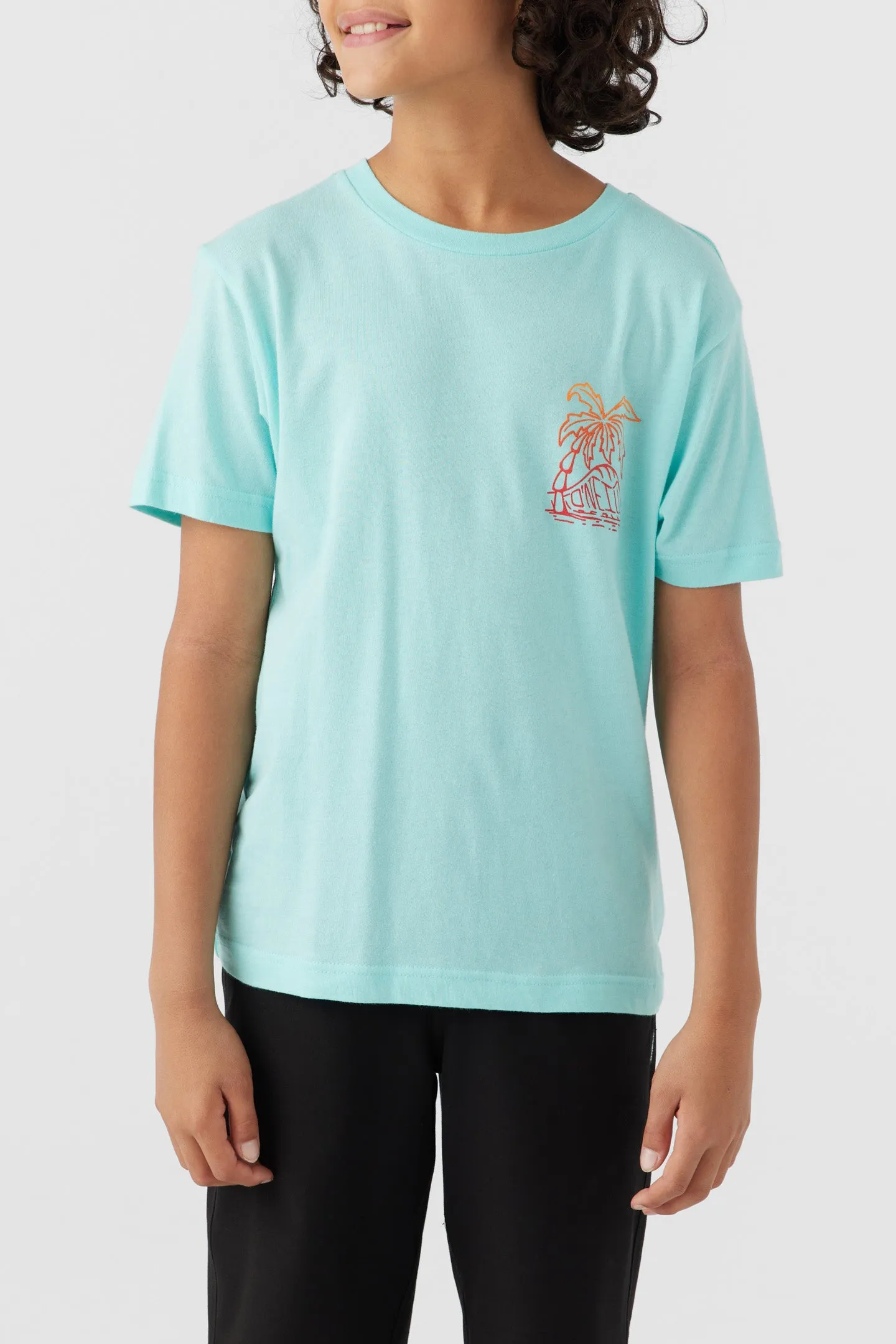 BOY'S RIPPABLE TEE sold by O'Neill product image thumbnail 2