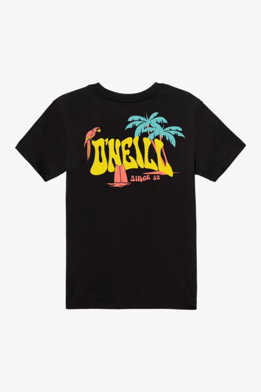 BOY'S LAGGER TEE sold by O'Neill