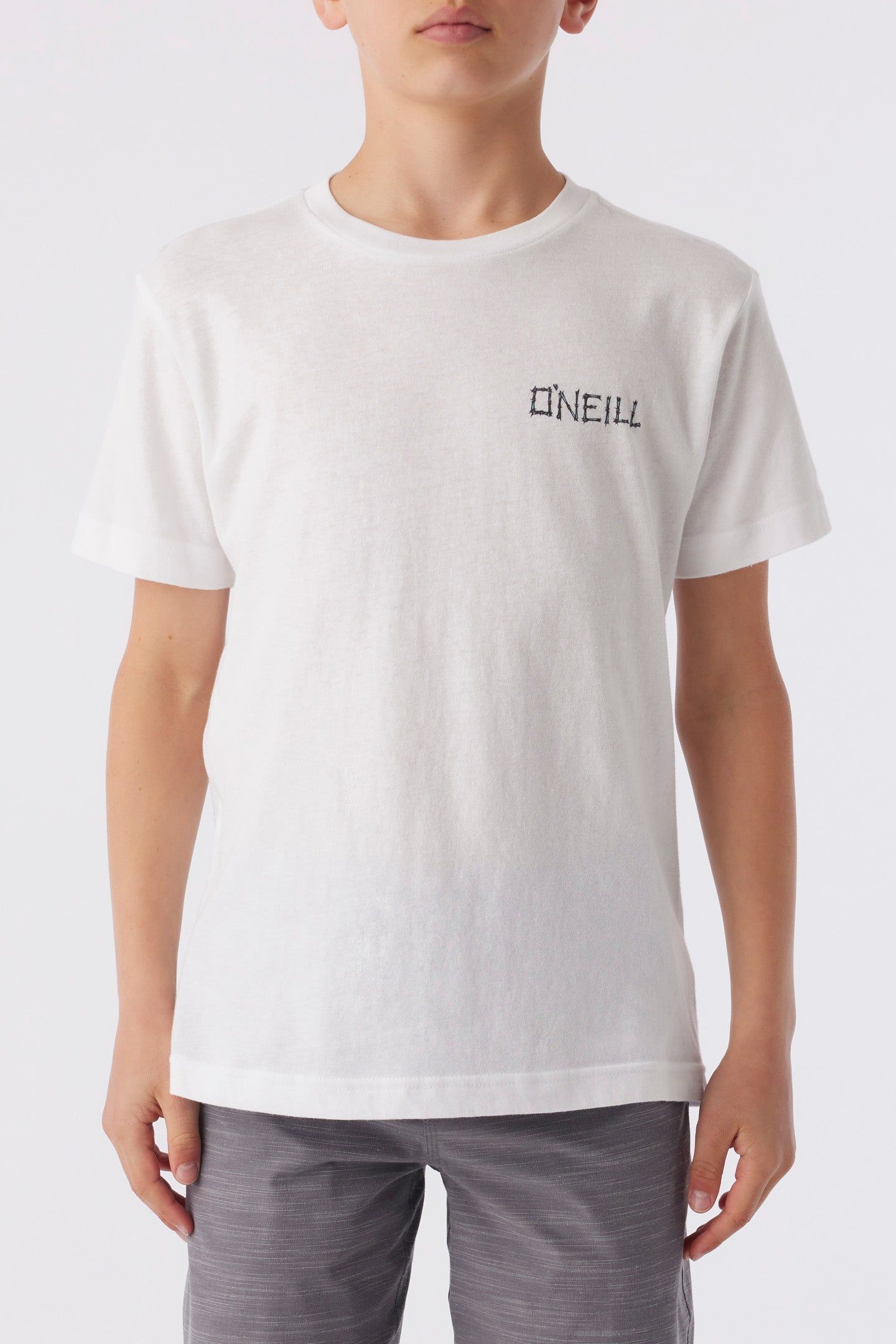 BOY'S MONKEY BUSINESS ARTIST SERIES TEE sold by O'Neill product image thumbnail 2