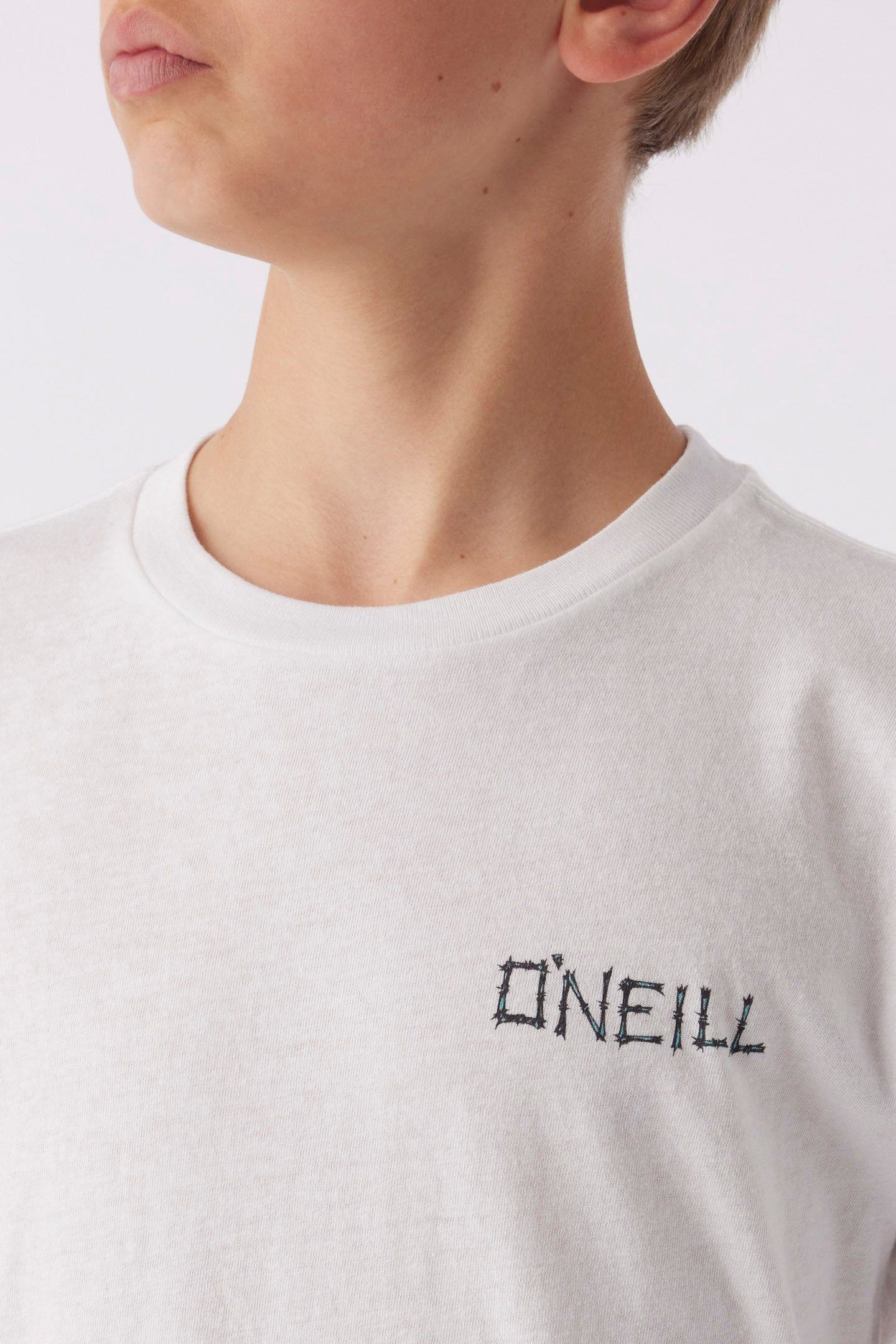 BOY'S MONKEY BUSINESS ARTIST SERIES TEE sold by O'Neill product image thumbnail 4