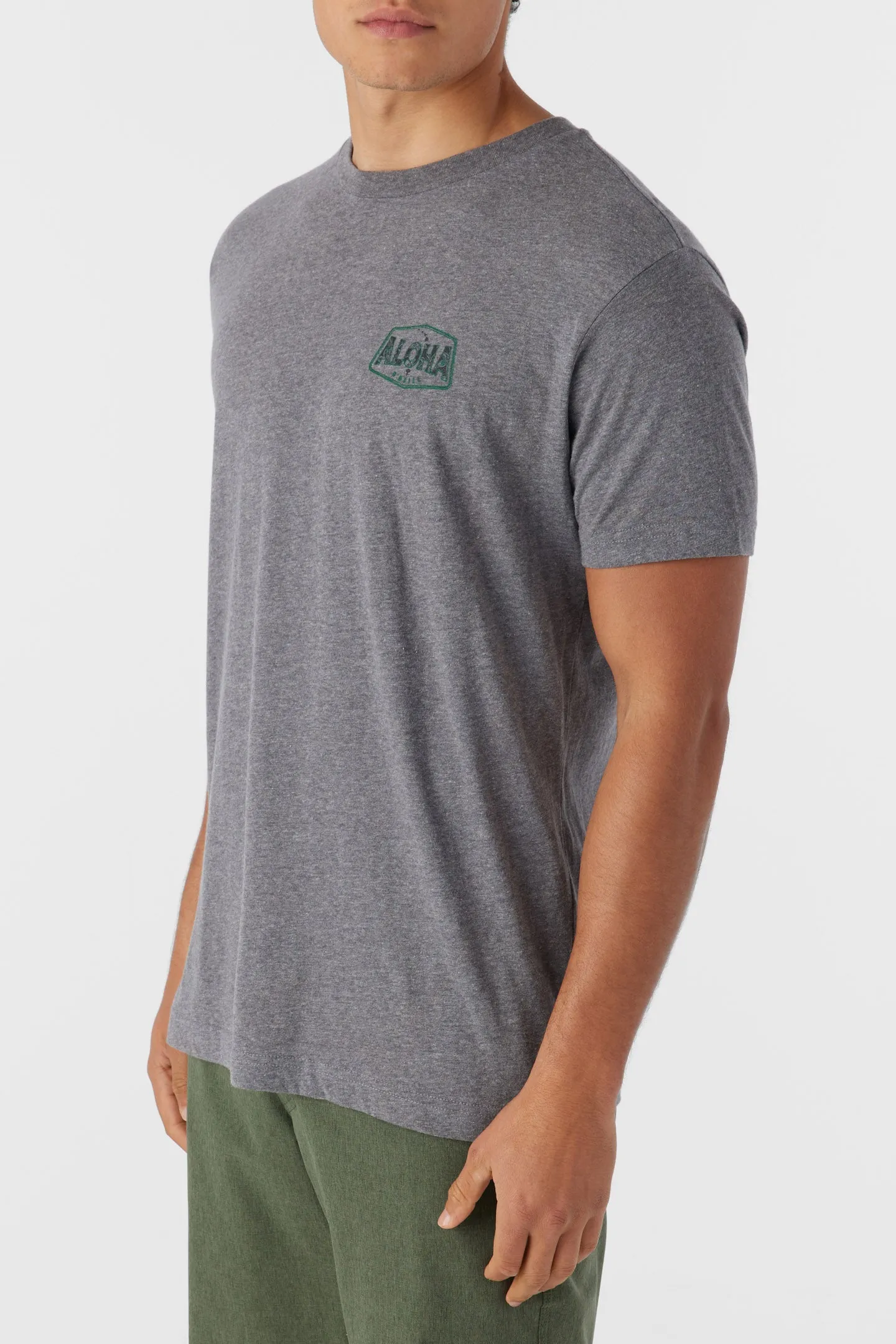 BIG ALOHA TEE sold by O'Neill product image thumbnail 3