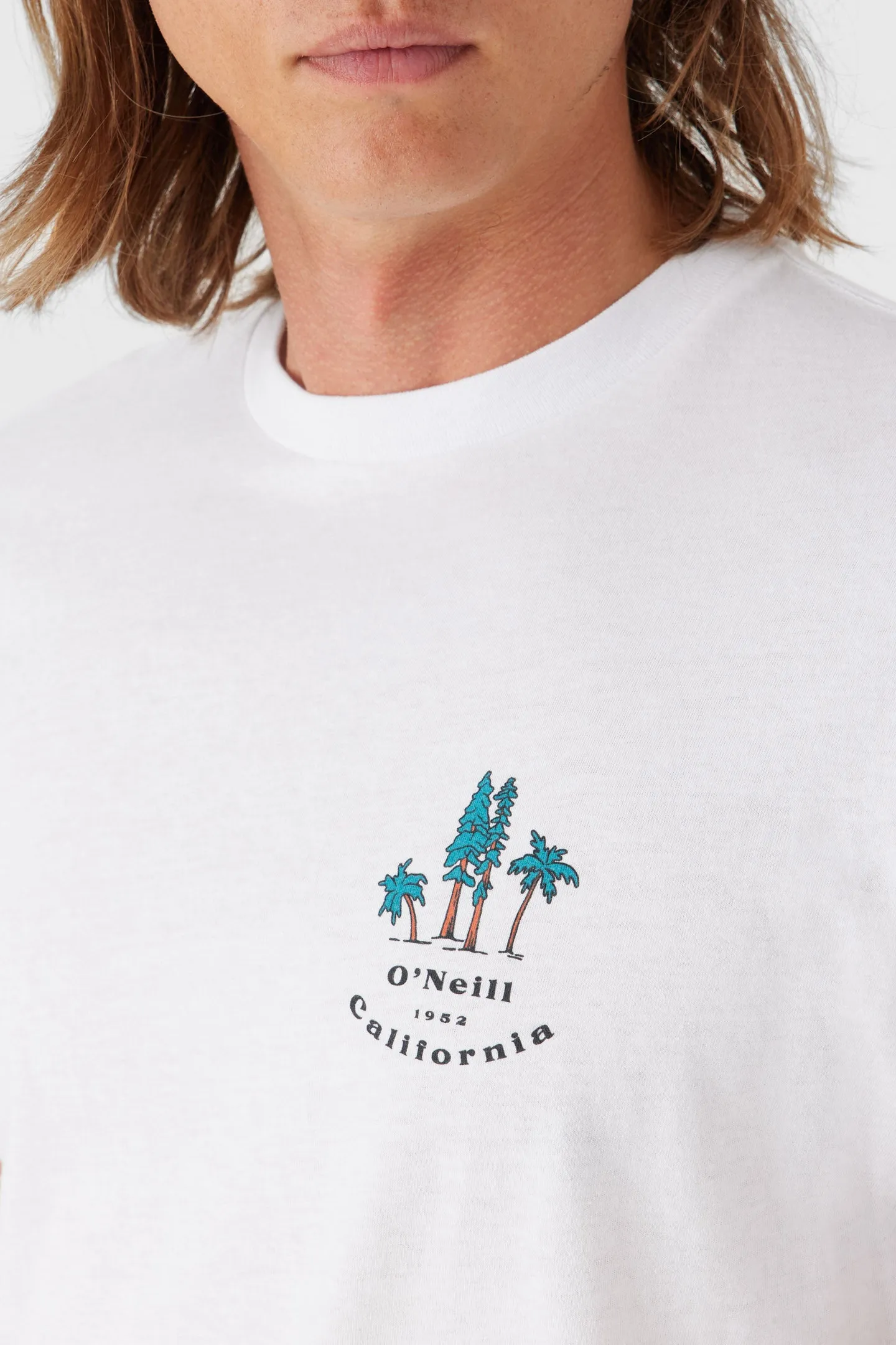 BIRDSEYE TEE sold by O'Neill product image thumbnail 3
