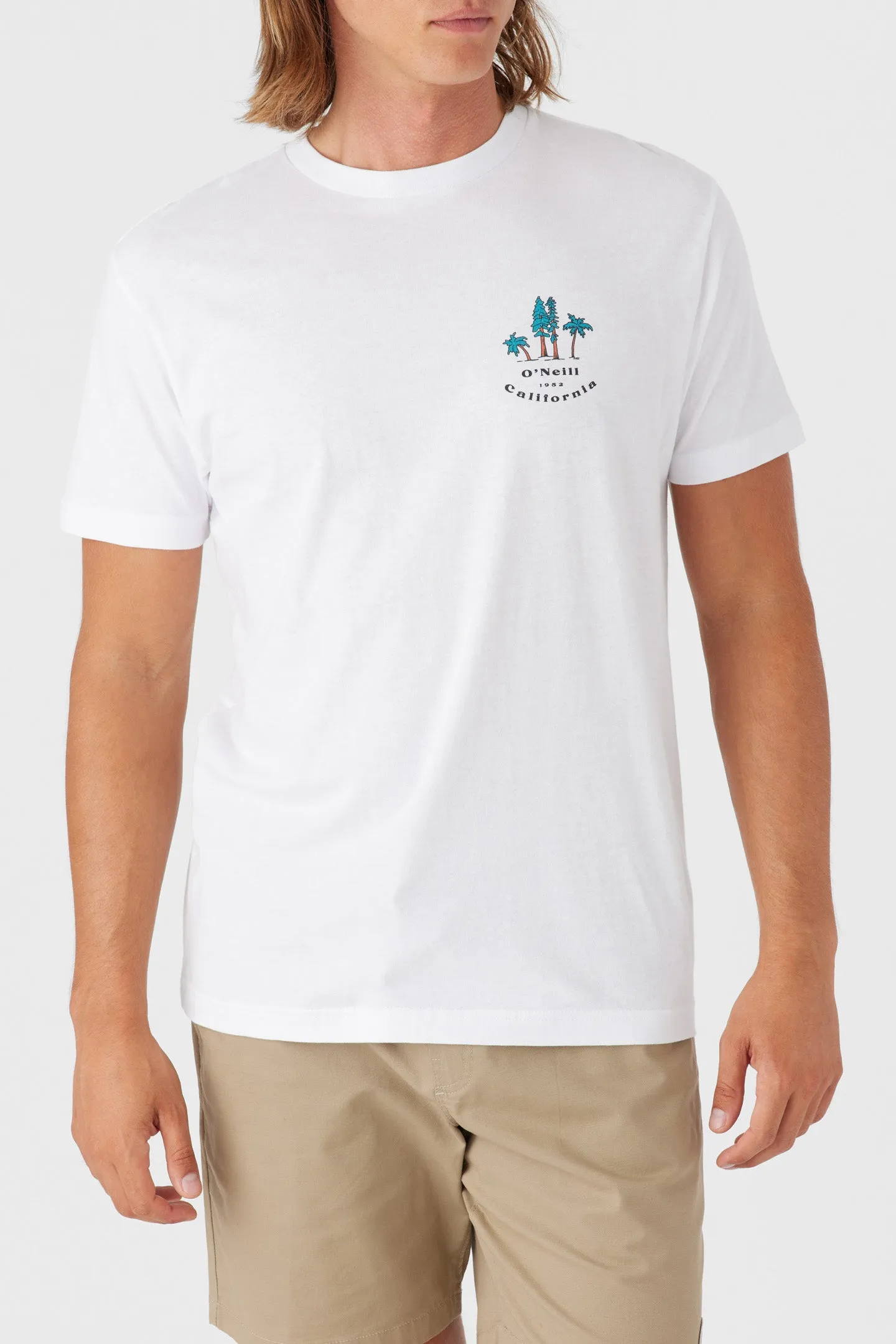 BIRDSEYE TEE sold by O'Neill product image thumbnail 2