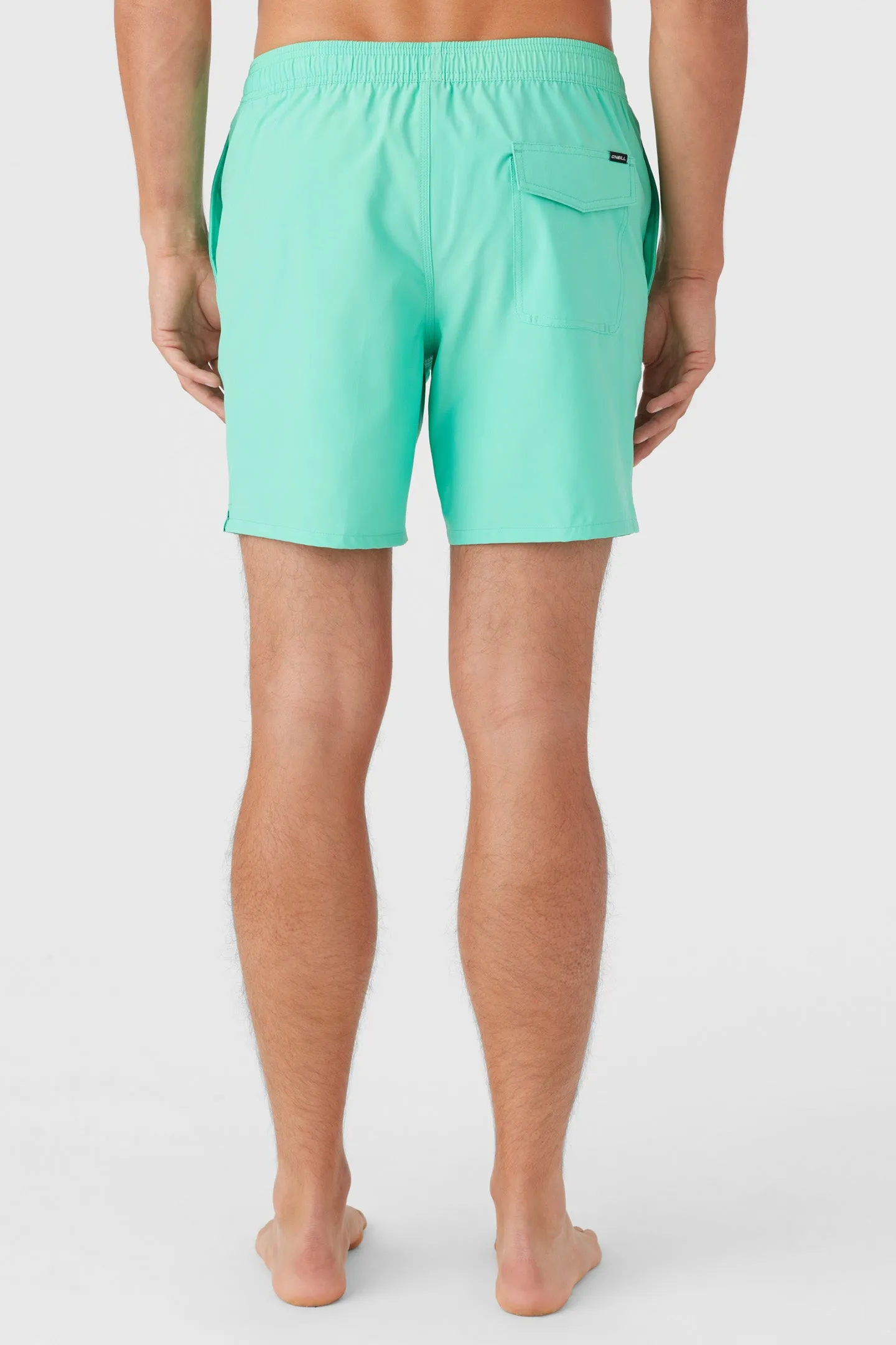 Lennox Hermosa Solid Elastic Waist 17" Swim Trunks sold by O'Neill product image thumbnail 4