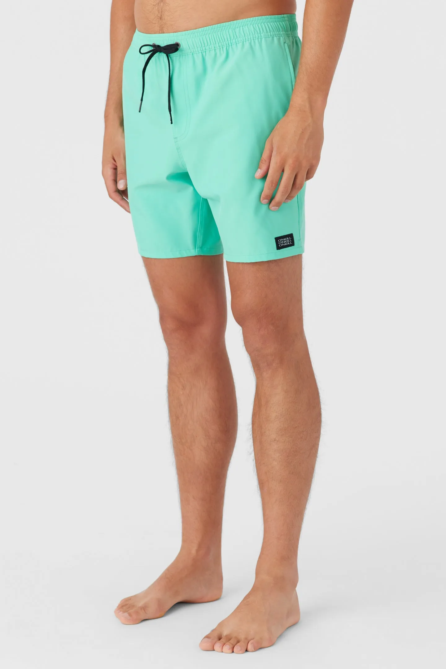Lennox Hermosa Solid Elastic Waist 17" Swim Trunks sold by O'Neill product image thumbnail 3