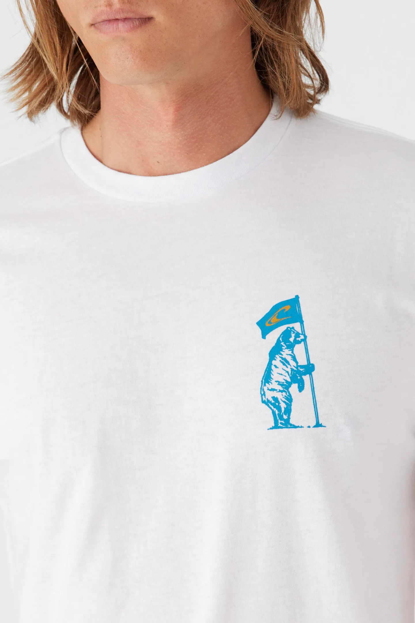 CALI FLAGBEARER TEE sold by O'Neill product image thumbnail 3