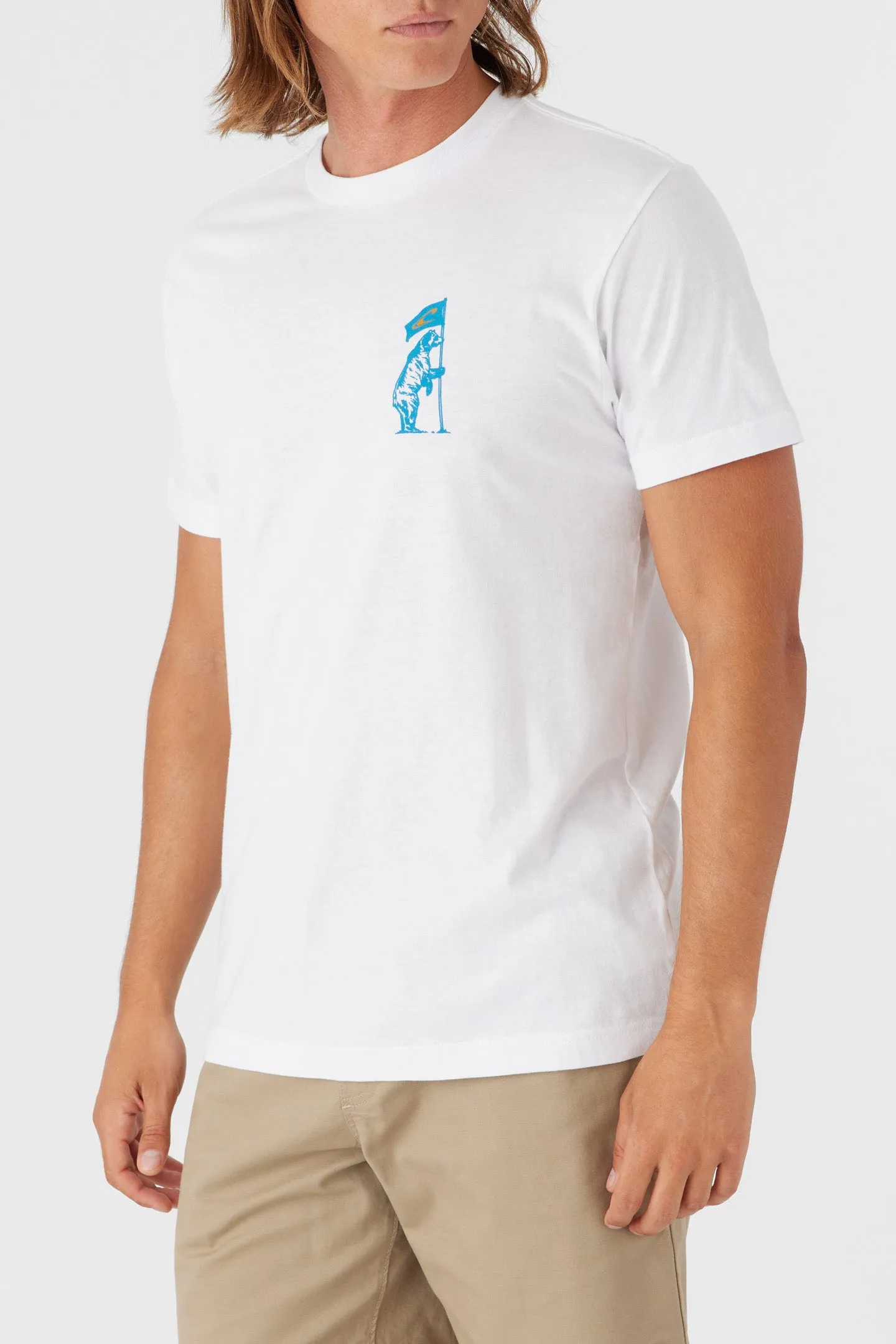 CALI FLAGBEARER TEE sold by O'Neill product image thumbnail 4