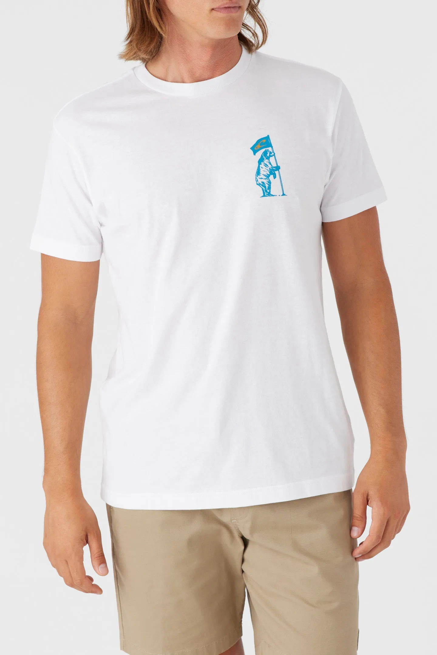 CALI FLAGBEARER TEE sold by O'Neill product image thumbnail 2
