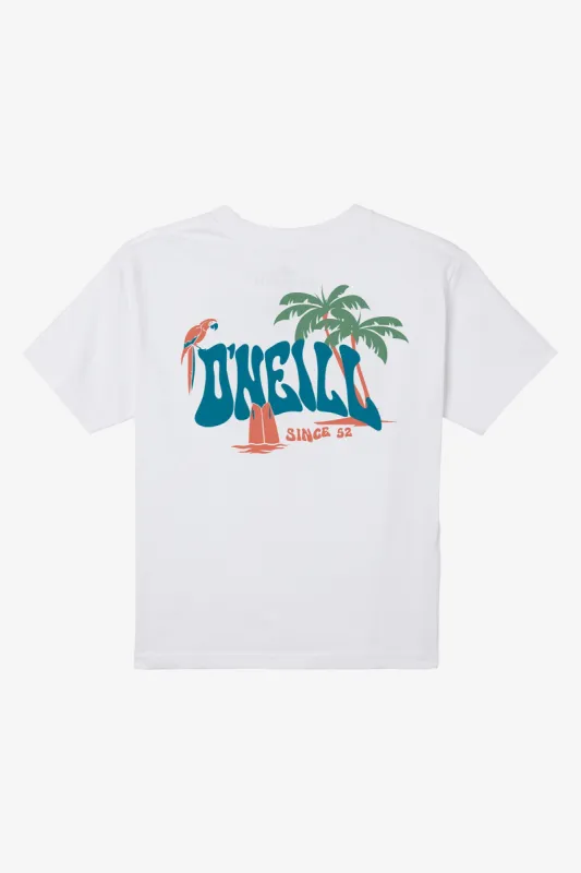 LITTLE BOY'S LAGGER TEE sold by O'Neill