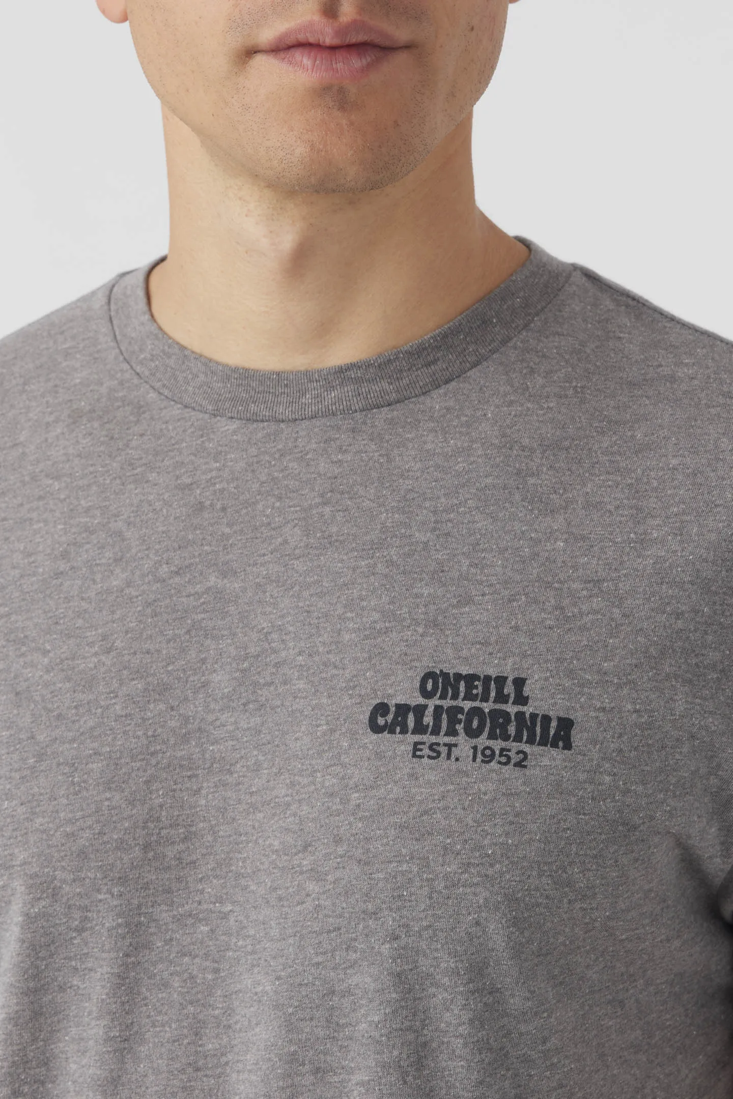 CURLEY TEE sold by O'Neill product image thumbnail 3