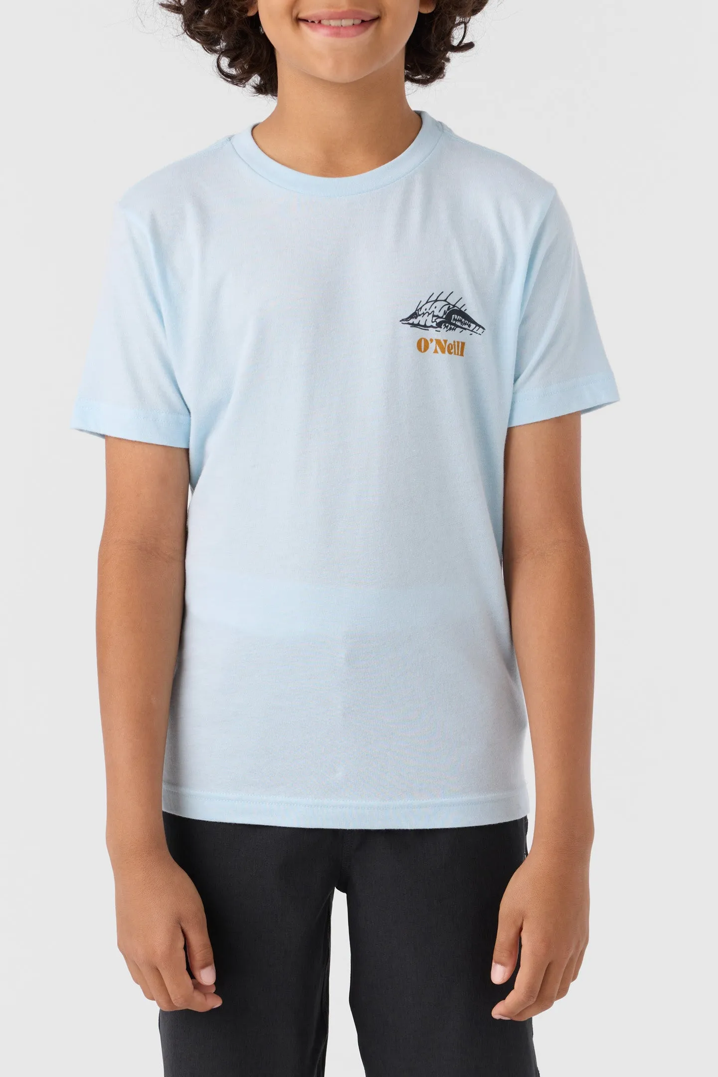 BOY'S CLASHER TEE sold by O'Neill product image thumbnail 2