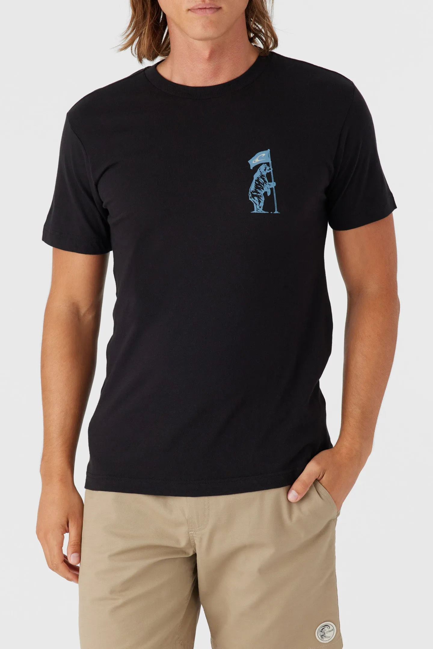 CALI FLAGBEARER TEE sold by O'Neill product image thumbnail 2