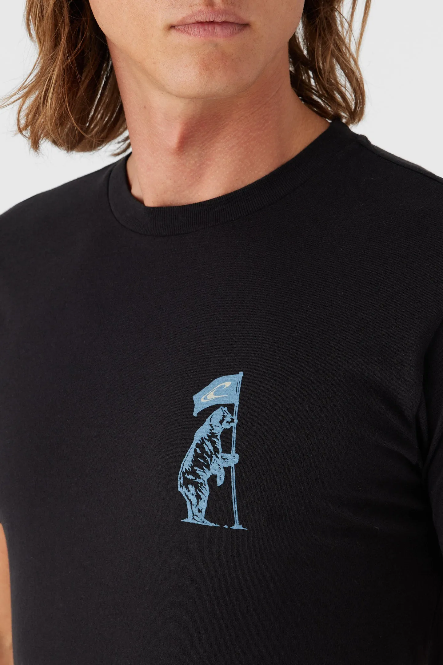 CALI FLAGBEARER TEE sold by O'Neill product image thumbnail 4