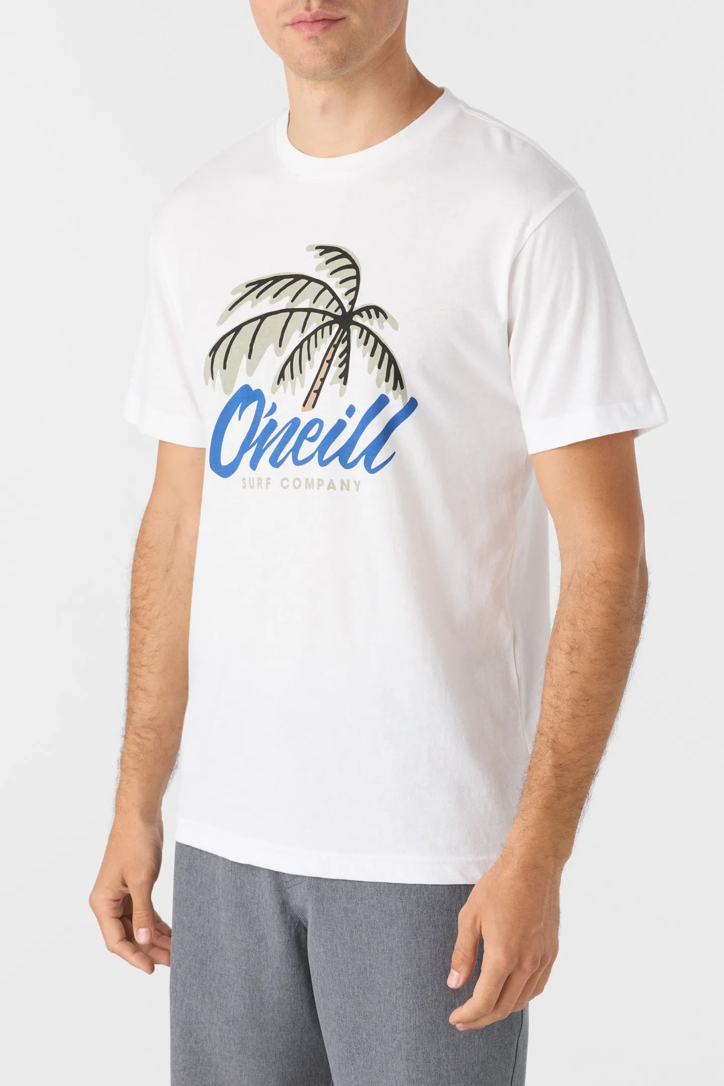 TILT STANDARD FIT TEE sold by O'Neill product image thumbnail 3