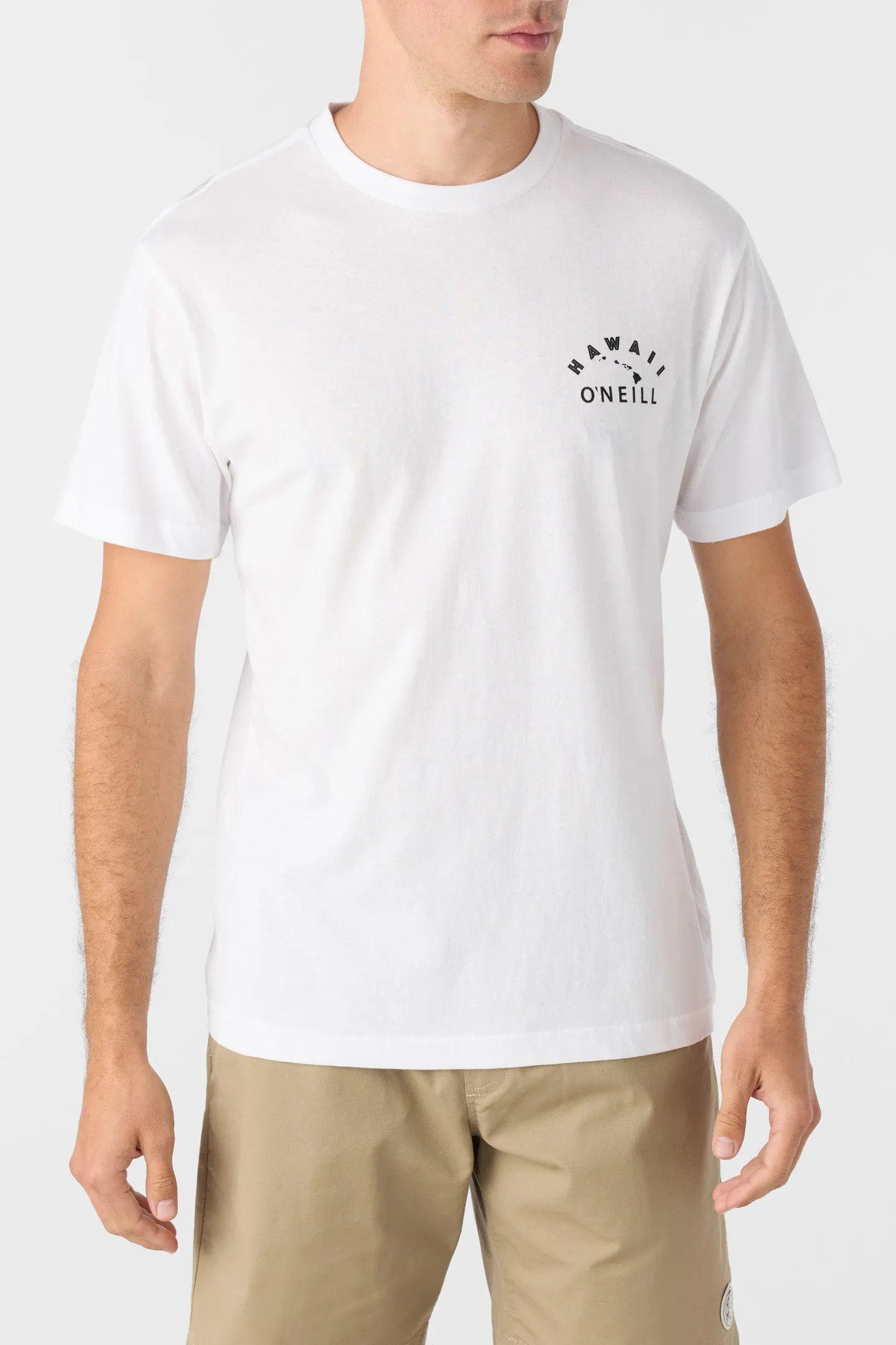 LIHUE STANDARD FIT TEE sold by O'Neill product image thumbnail 2