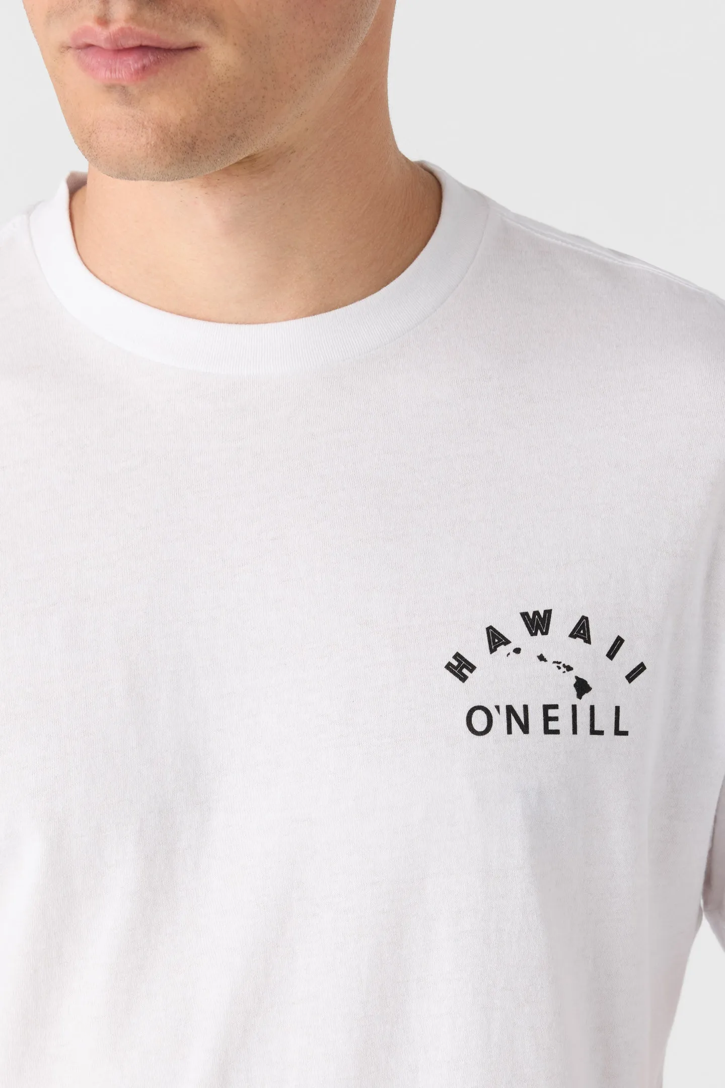 LIHUE STANDARD FIT TEE sold by O'Neill product image thumbnail 4