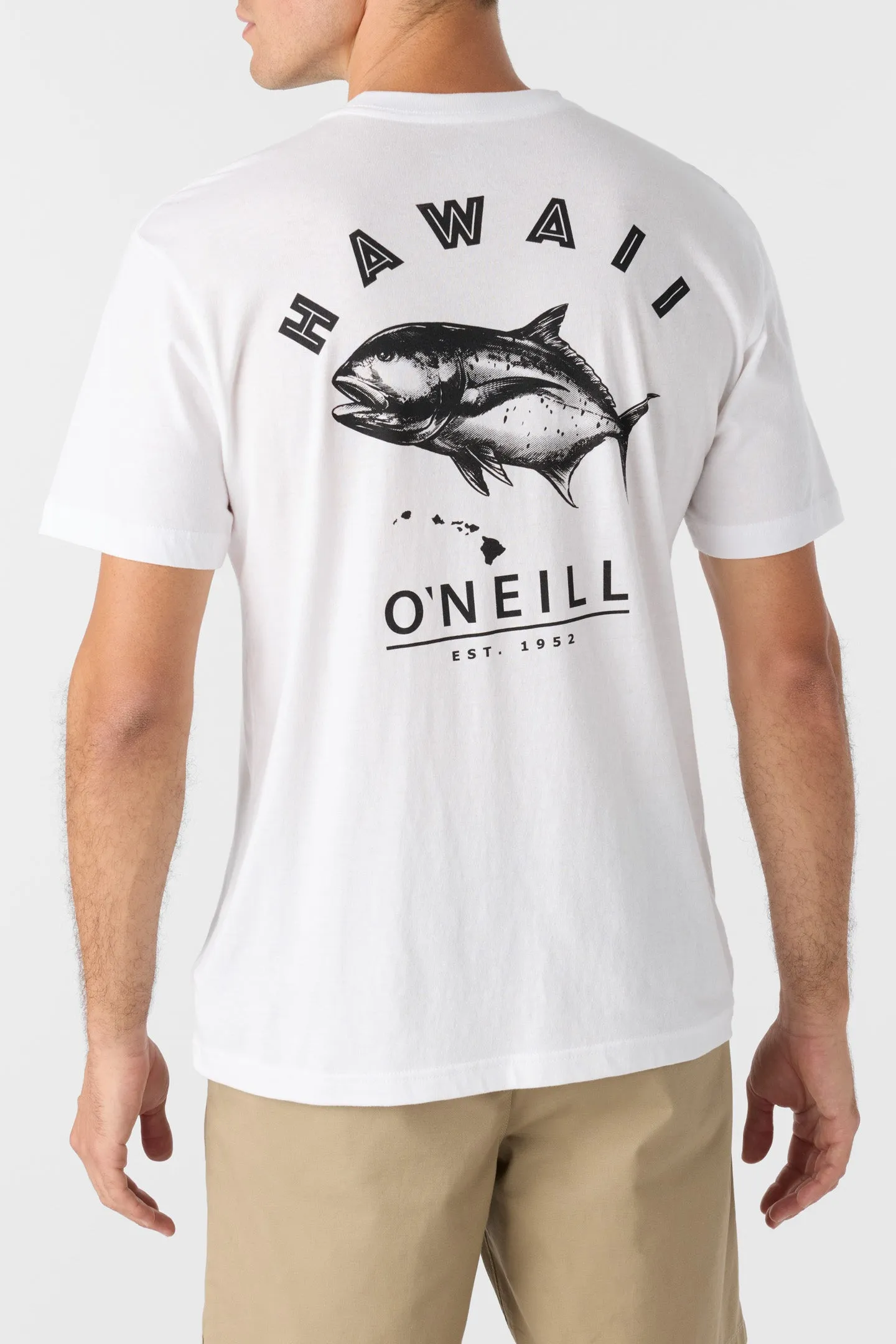 LIHUE STANDARD FIT TEE sold by O'Neill product image thumbnail 5