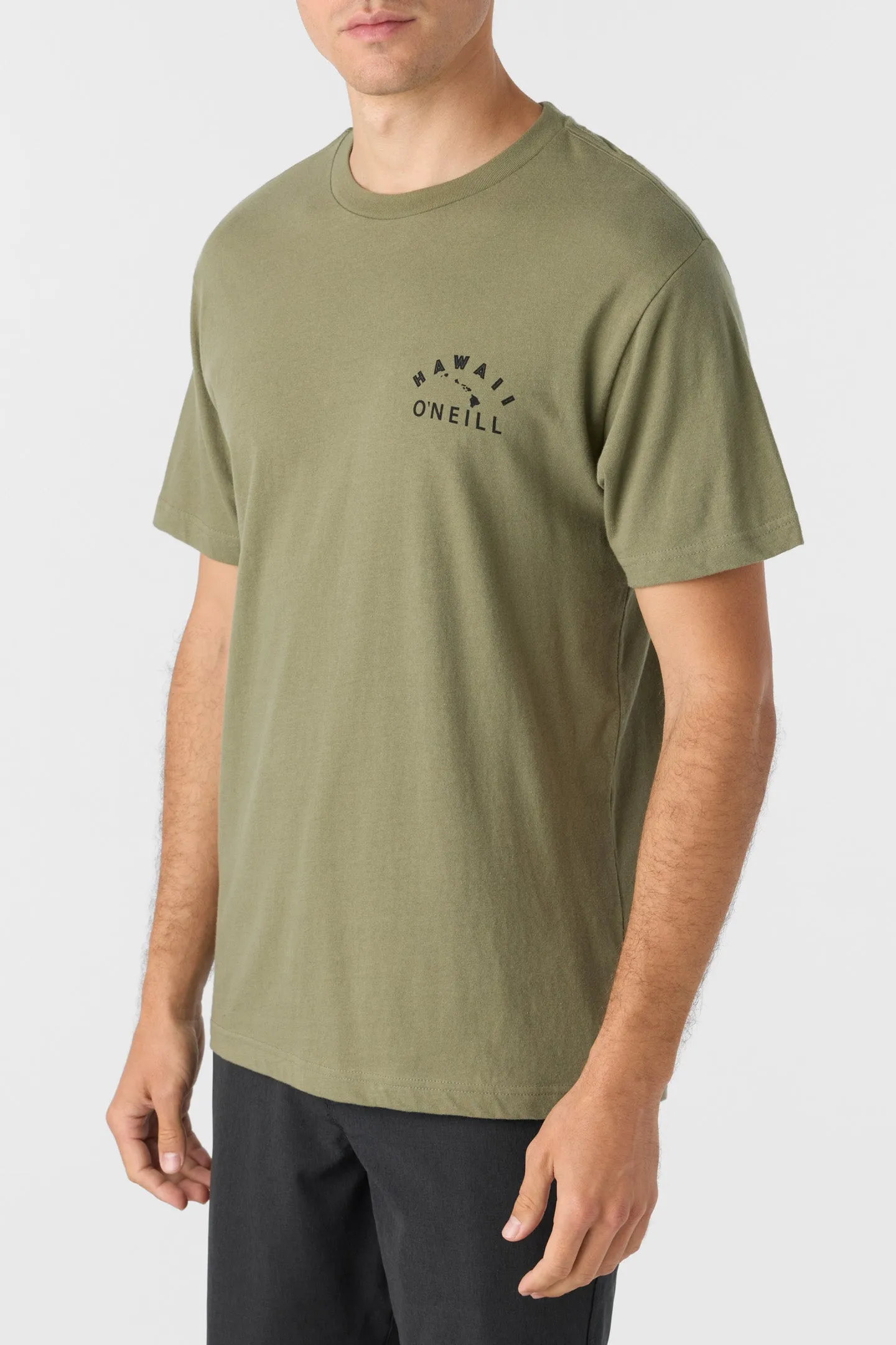 LIHUE STANDARD FIT TEE sold by O'Neill product image thumbnail 3