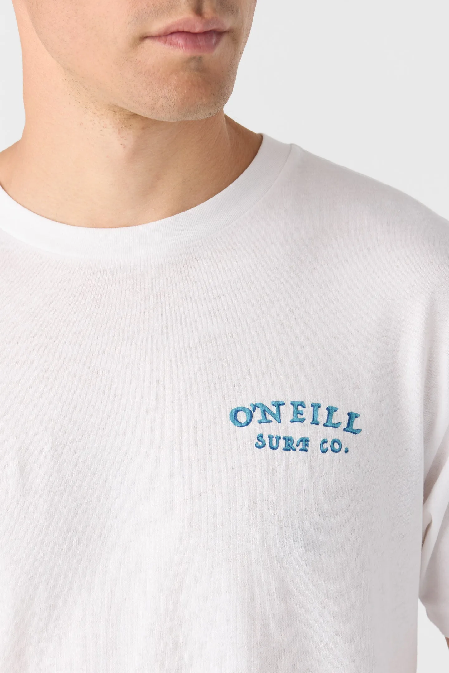 DOUBLE TROUBLE STANDARD FIT TEE sold by O'Neill product image thumbnail 4