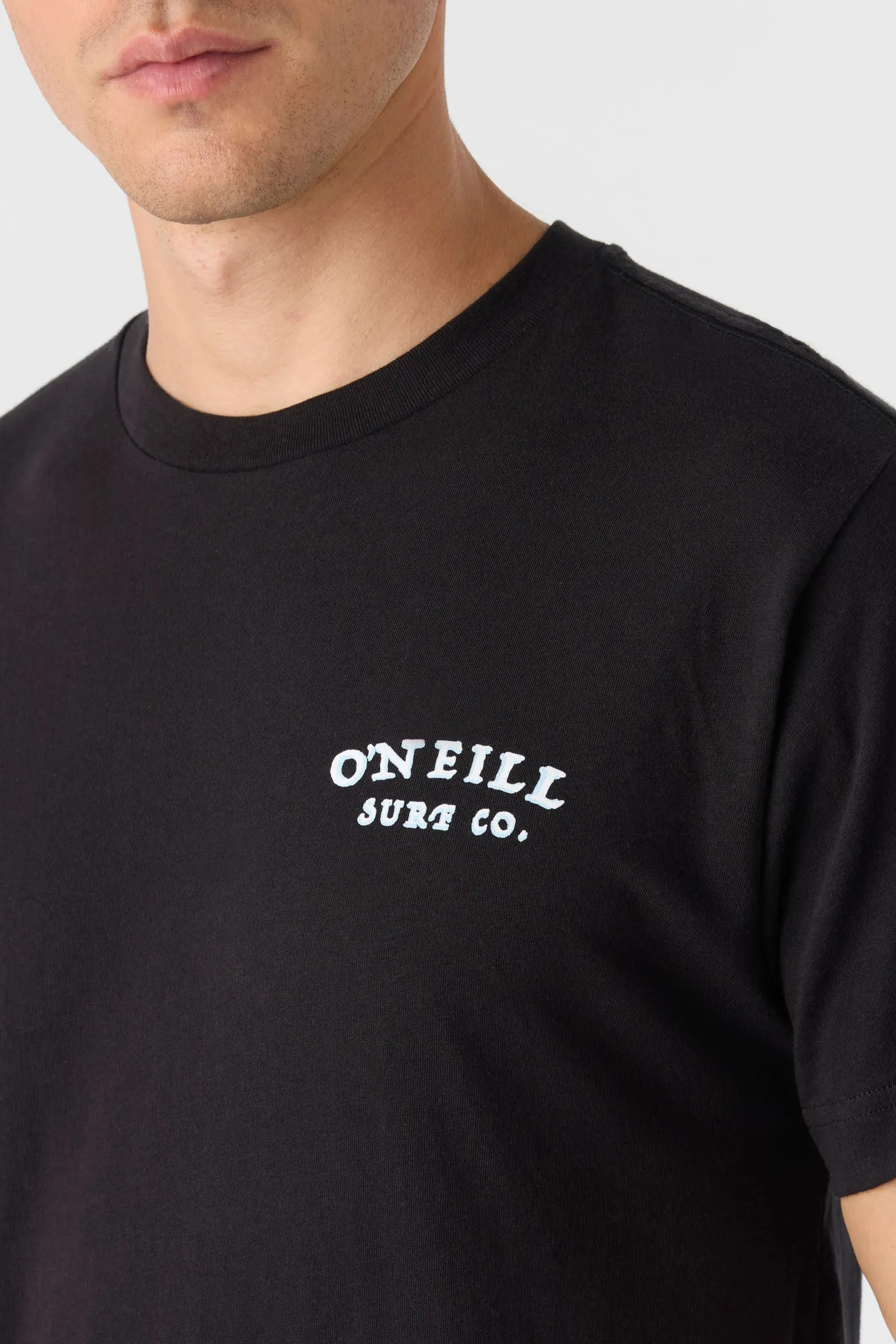 DOUBLE TROUBLE STANDARD FIT TEE sold by O'Neill product image thumbnail 4