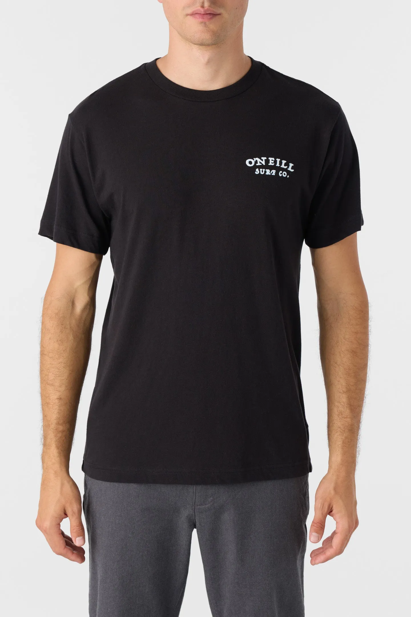 DOUBLE TROUBLE STANDARD FIT TEE sold by O'Neill product image thumbnail 2