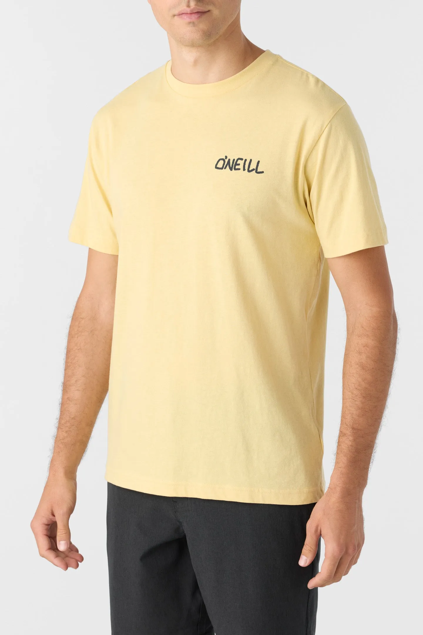 Days End Standard Fit Tee sold by O'Neill product image thumbnail 3