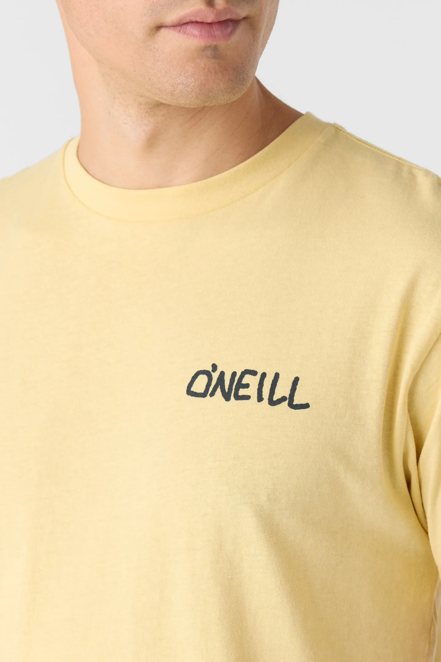 Days End Standard Fit Tee sold by O'Neill product image thumbnail 4