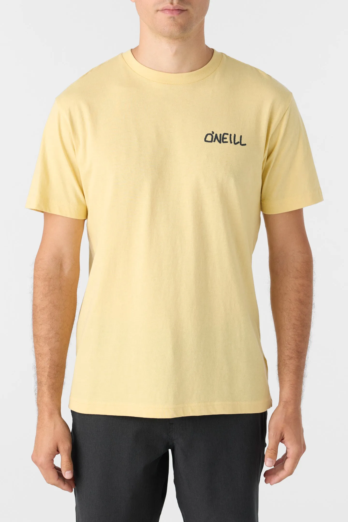 Days End Standard Fit Tee sold by O'Neill product image thumbnail 2