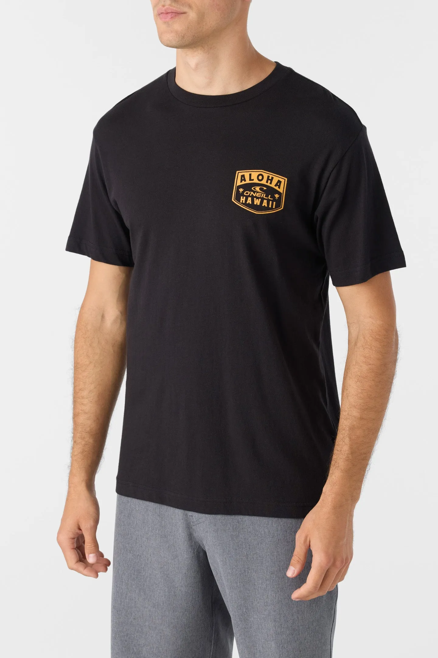 CHEE PONO STANDARD FIT TEE sold by O'Neill product image thumbnail 3
