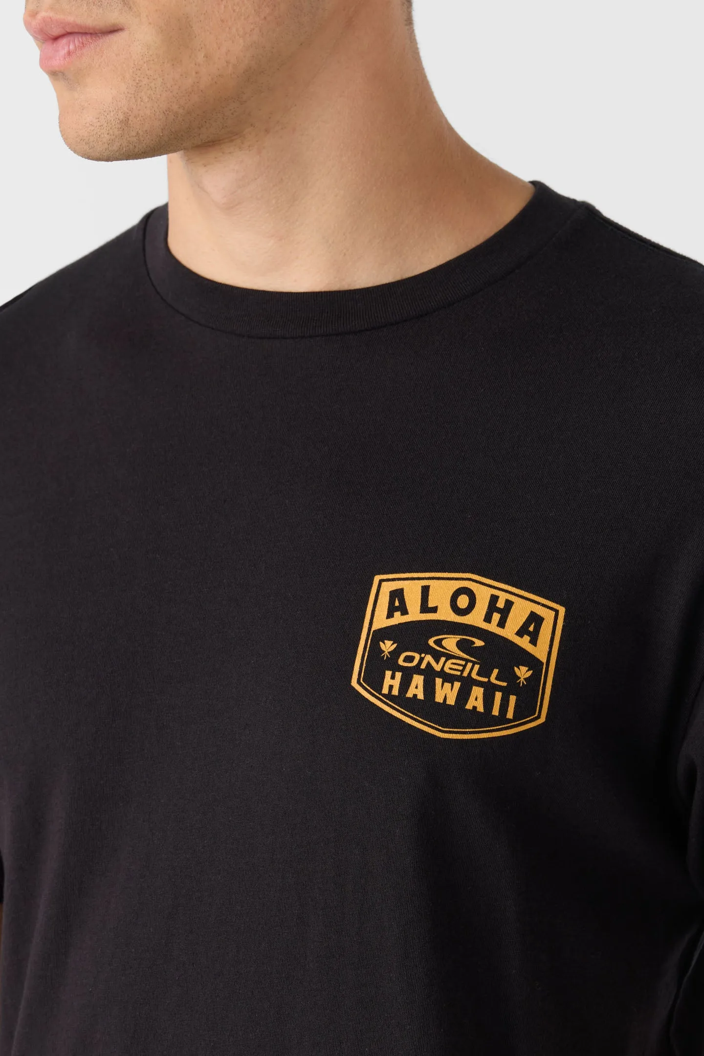 CHEE PONO STANDARD FIT TEE sold by O'Neill product image thumbnail 4