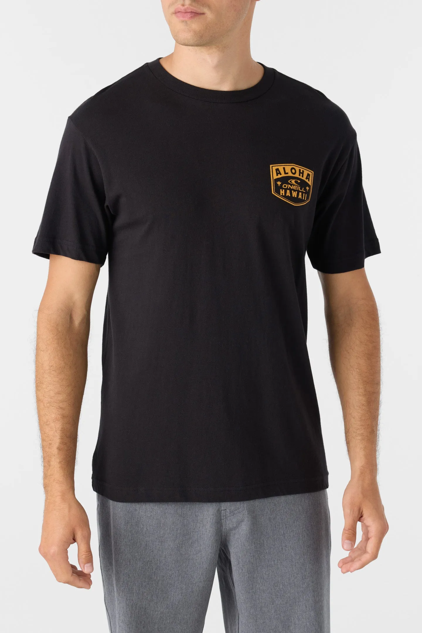 CHEE PONO STANDARD FIT TEE sold by O'Neill product image thumbnail 2