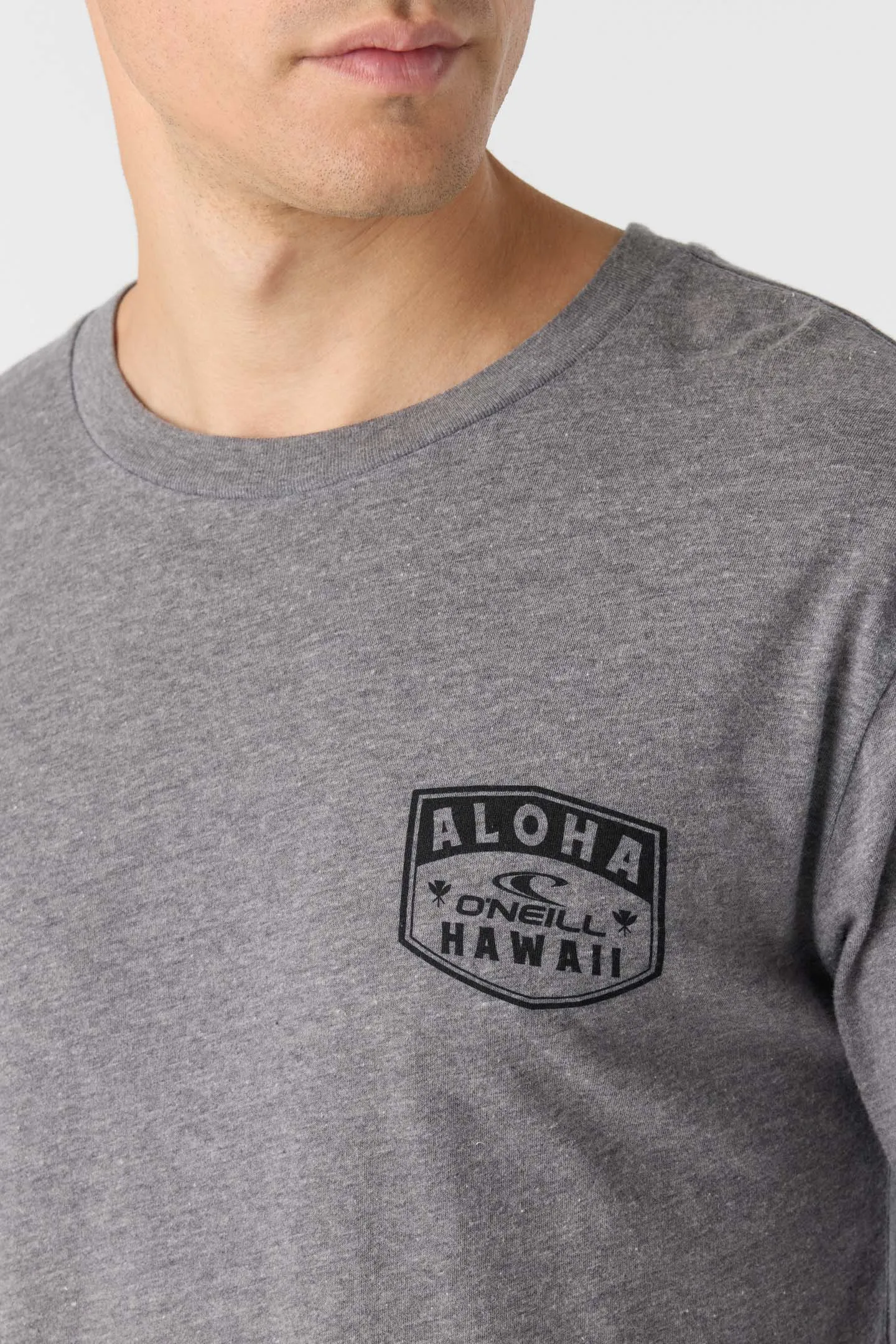 CHEE PONO STANDARD FIT LONG SLEEVE TEE sold by O'Neill product image thumbnail 4
