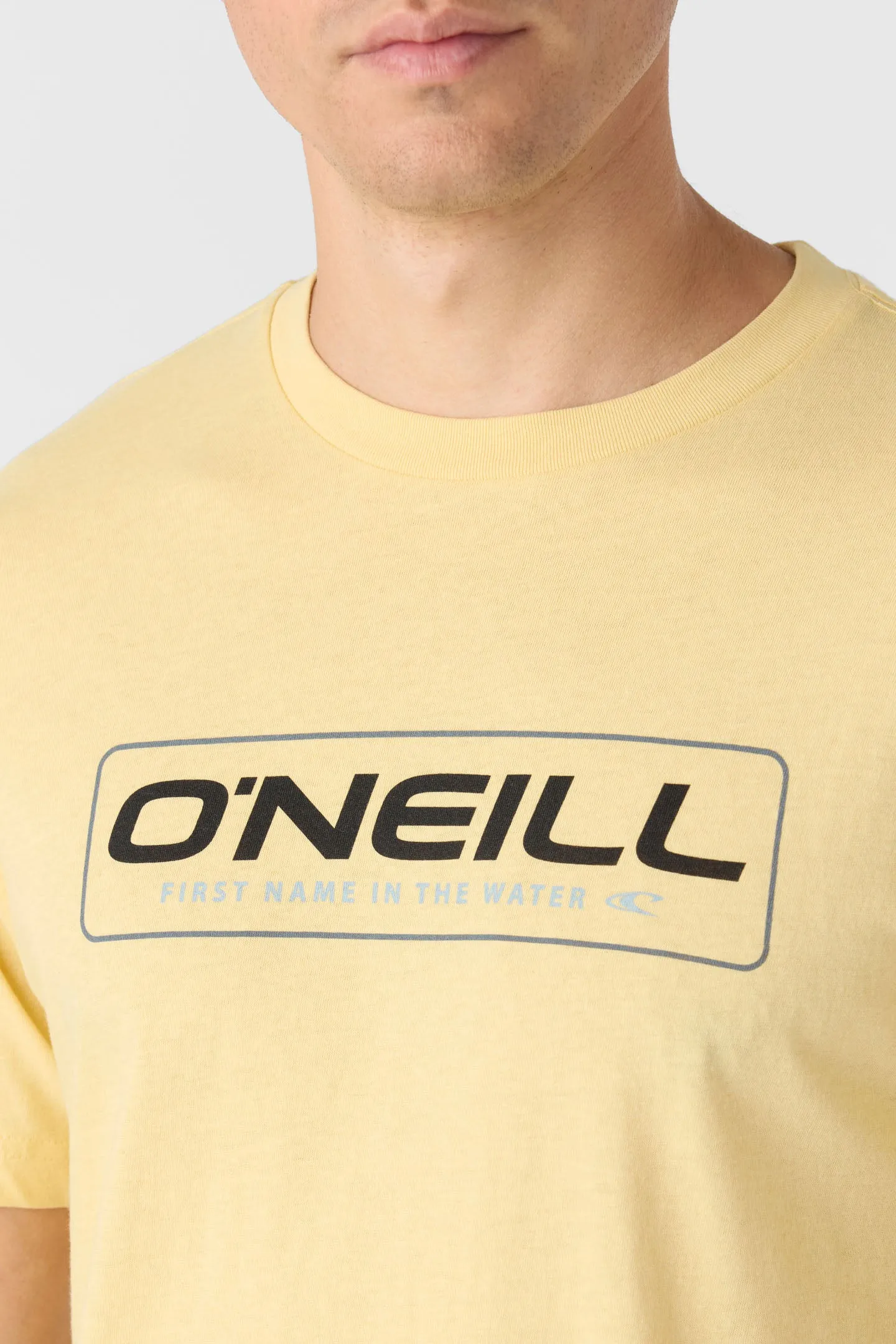 BRUCE STANDARD FIT TEE sold by O'Neill product image thumbnail 4