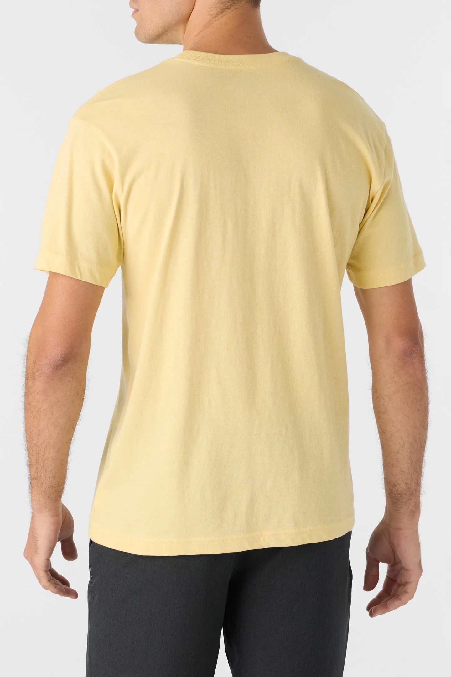 BRUCE STANDARD FIT TEE sold by O'Neill product image thumbnail 5