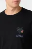 O'RIGINALS DUSK TEE sold by O'Neill